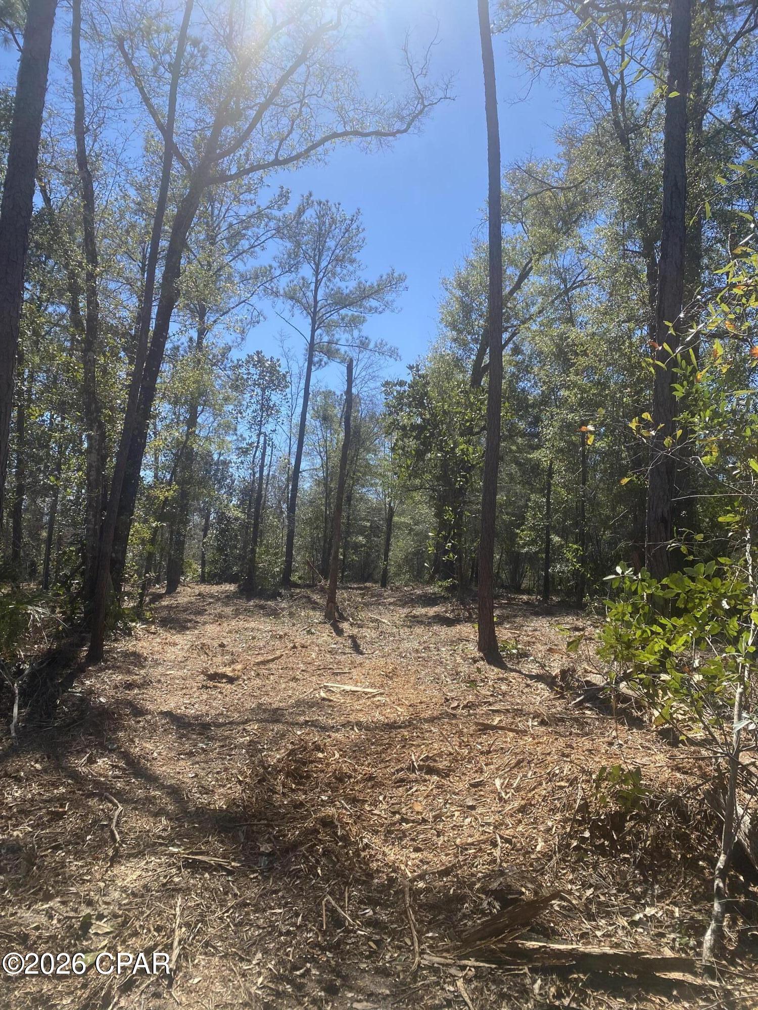 Image 6 For 00 Pasofino Lane