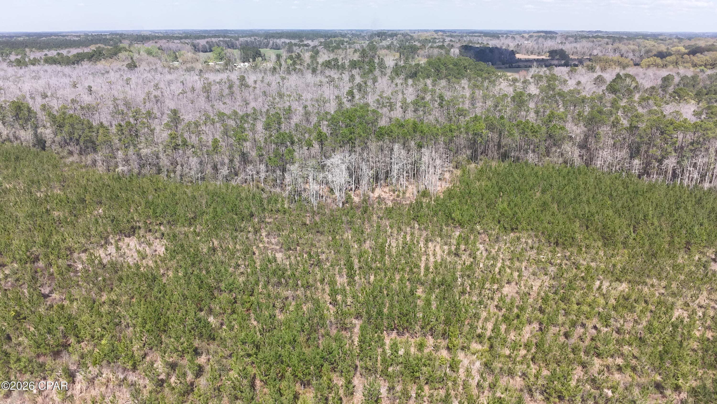 Image 10 For Tract 6336 Sand Path Road