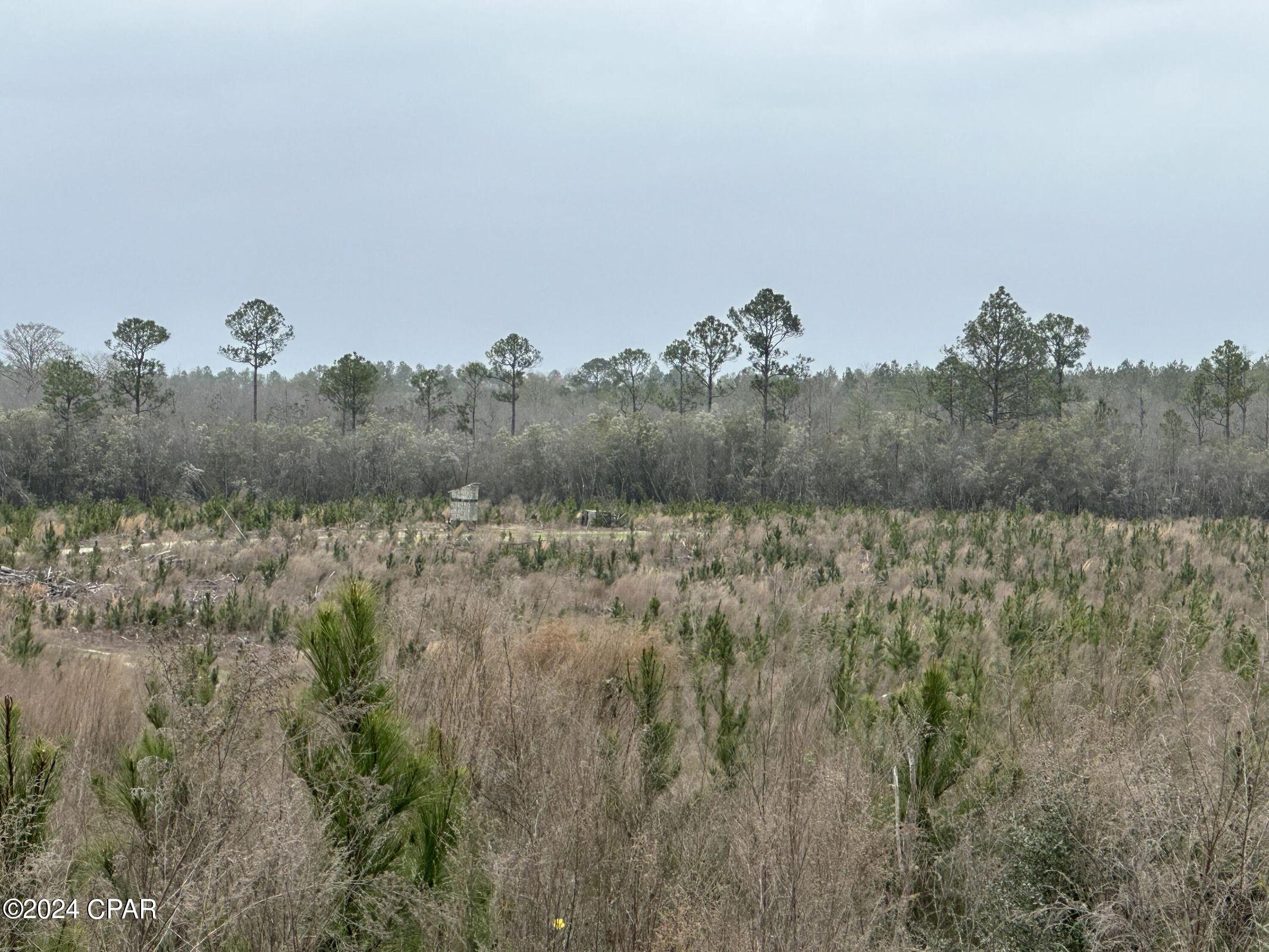 Image 2 For Tract 6336 Sand Path Road