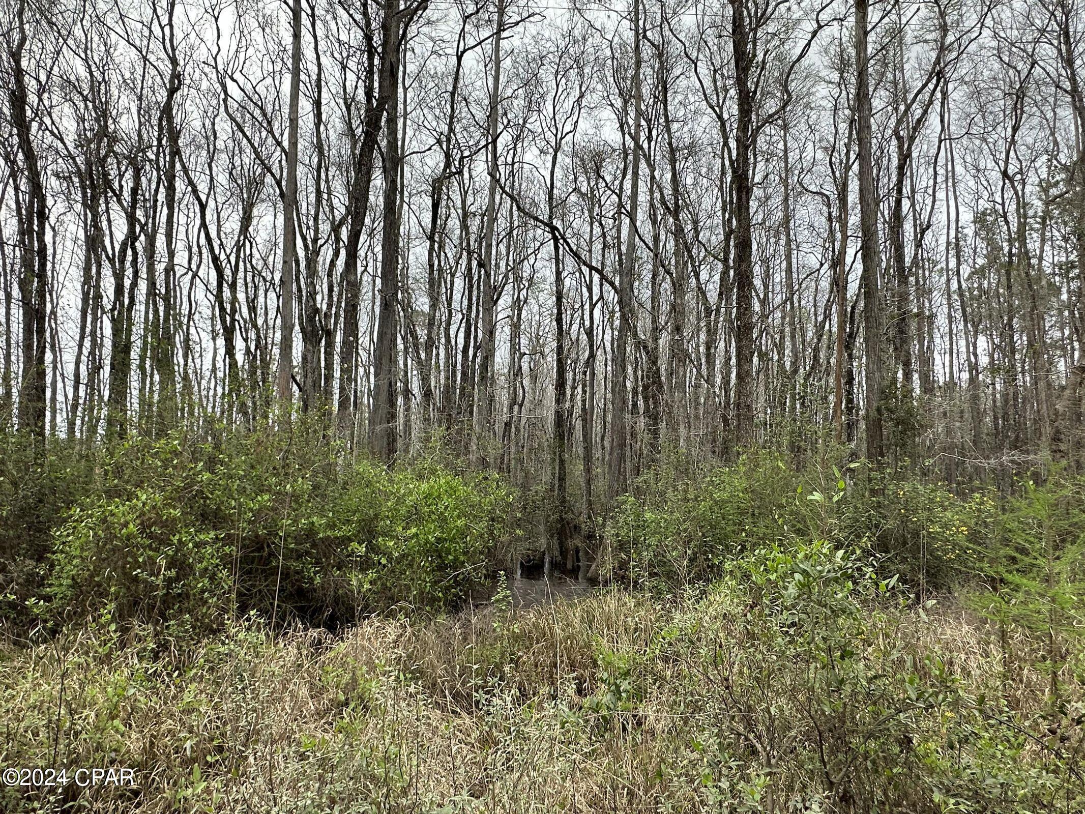 Image 6 For Tract 6336 Sand Path Road