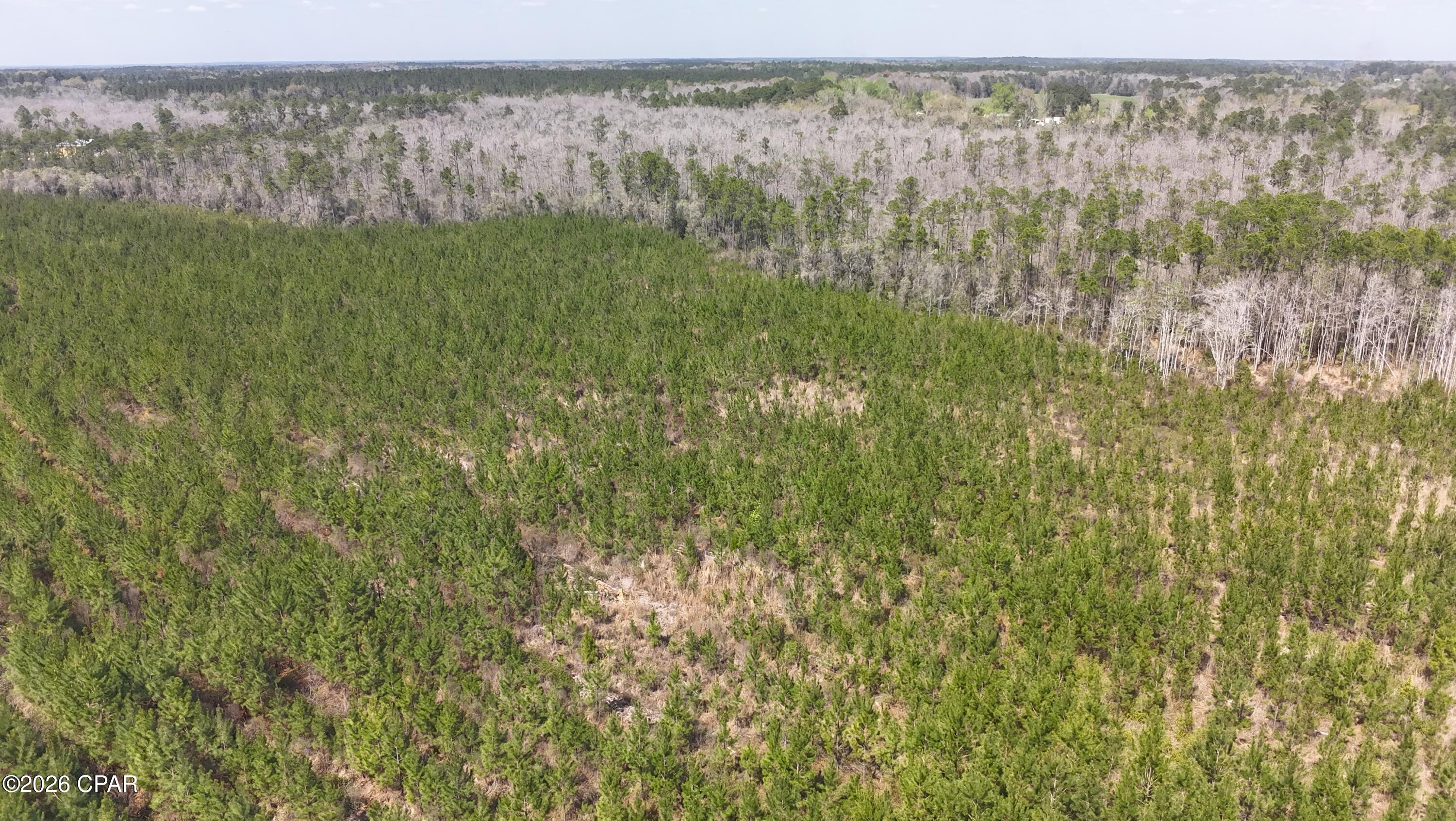 Image 7 For Tract 6336 Sand Path Road