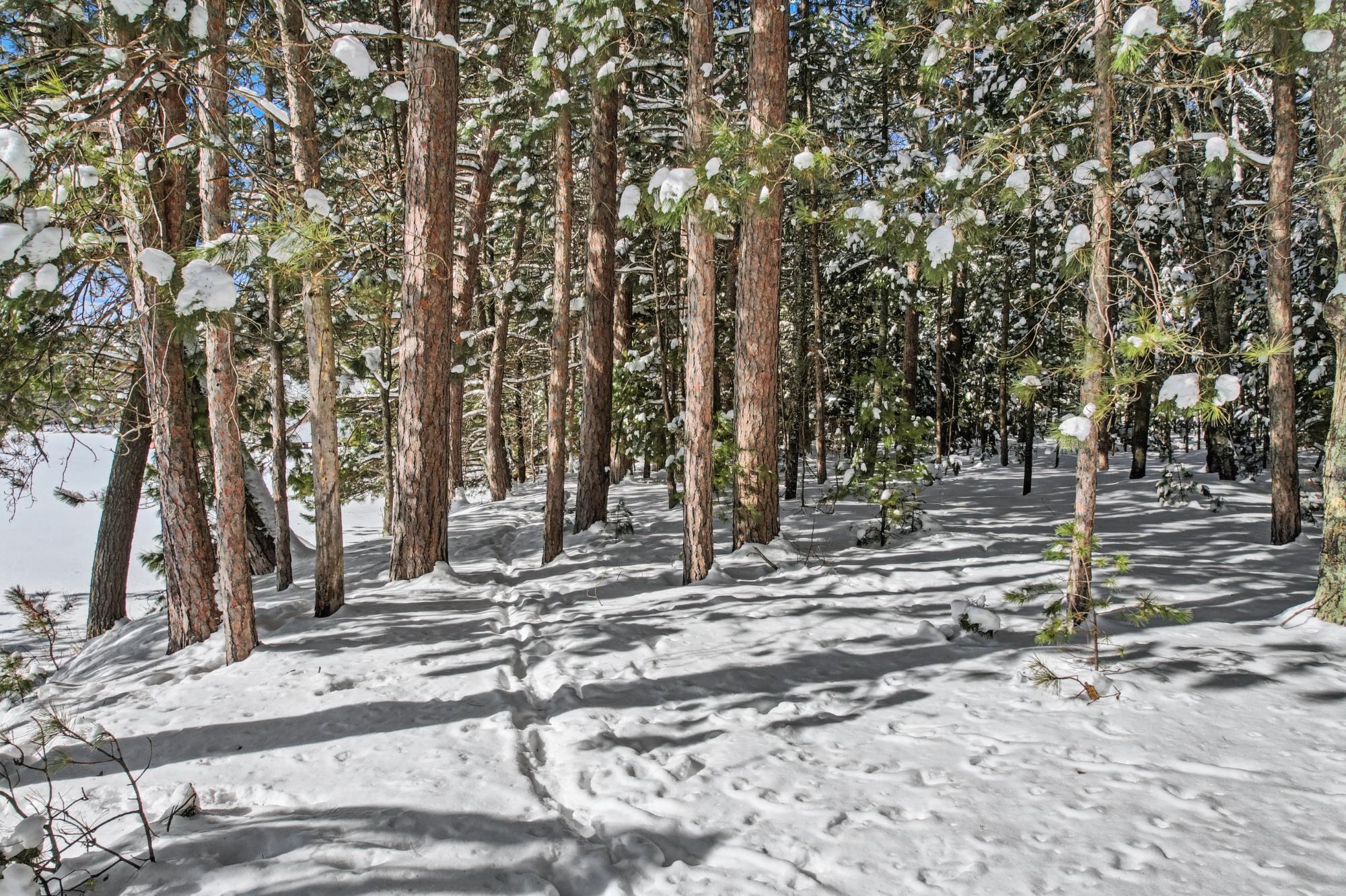 Laurel Lake Property Lot 2 Campground Rd Photo 8