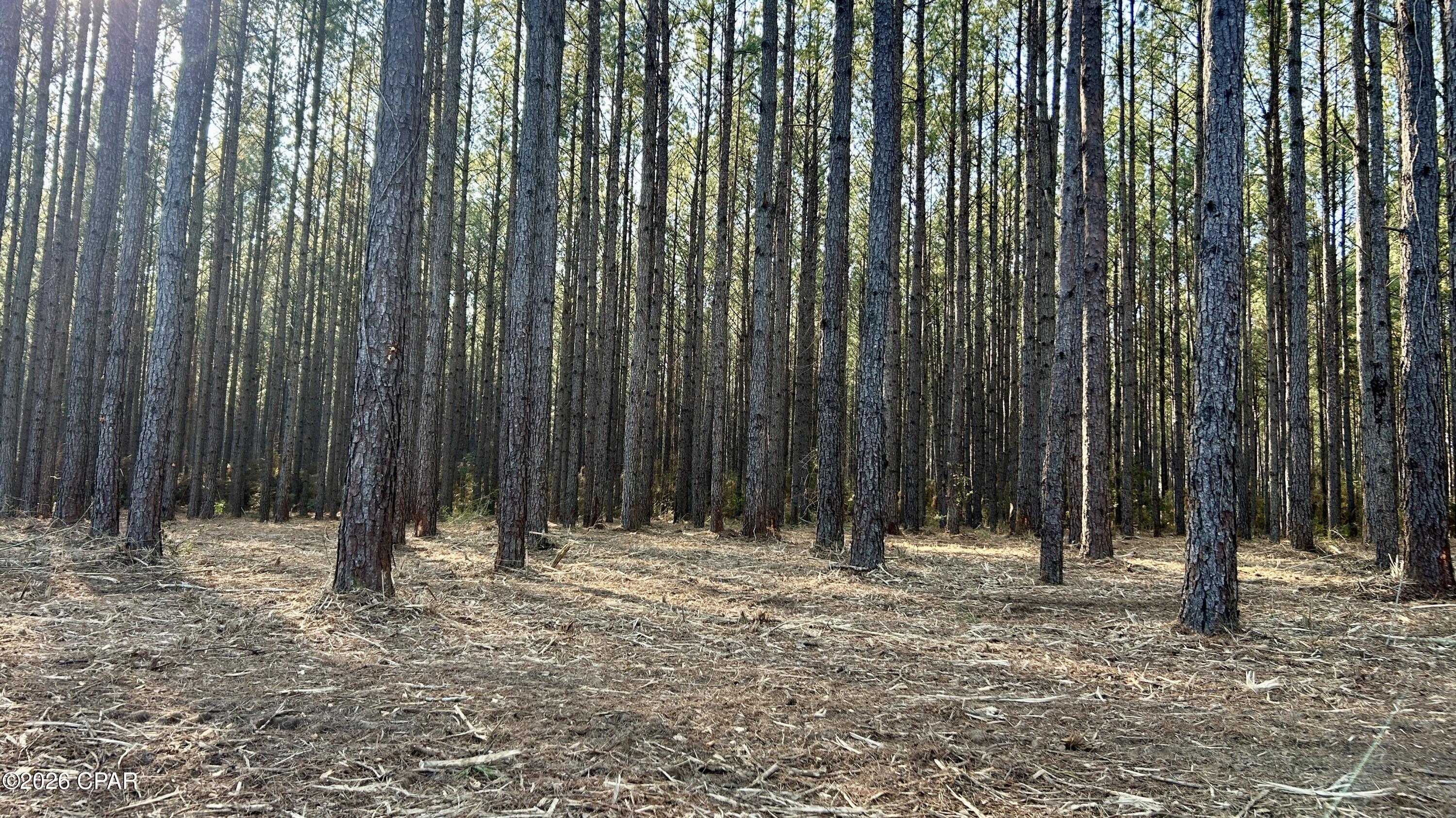 Image 11 For X Grimes Road