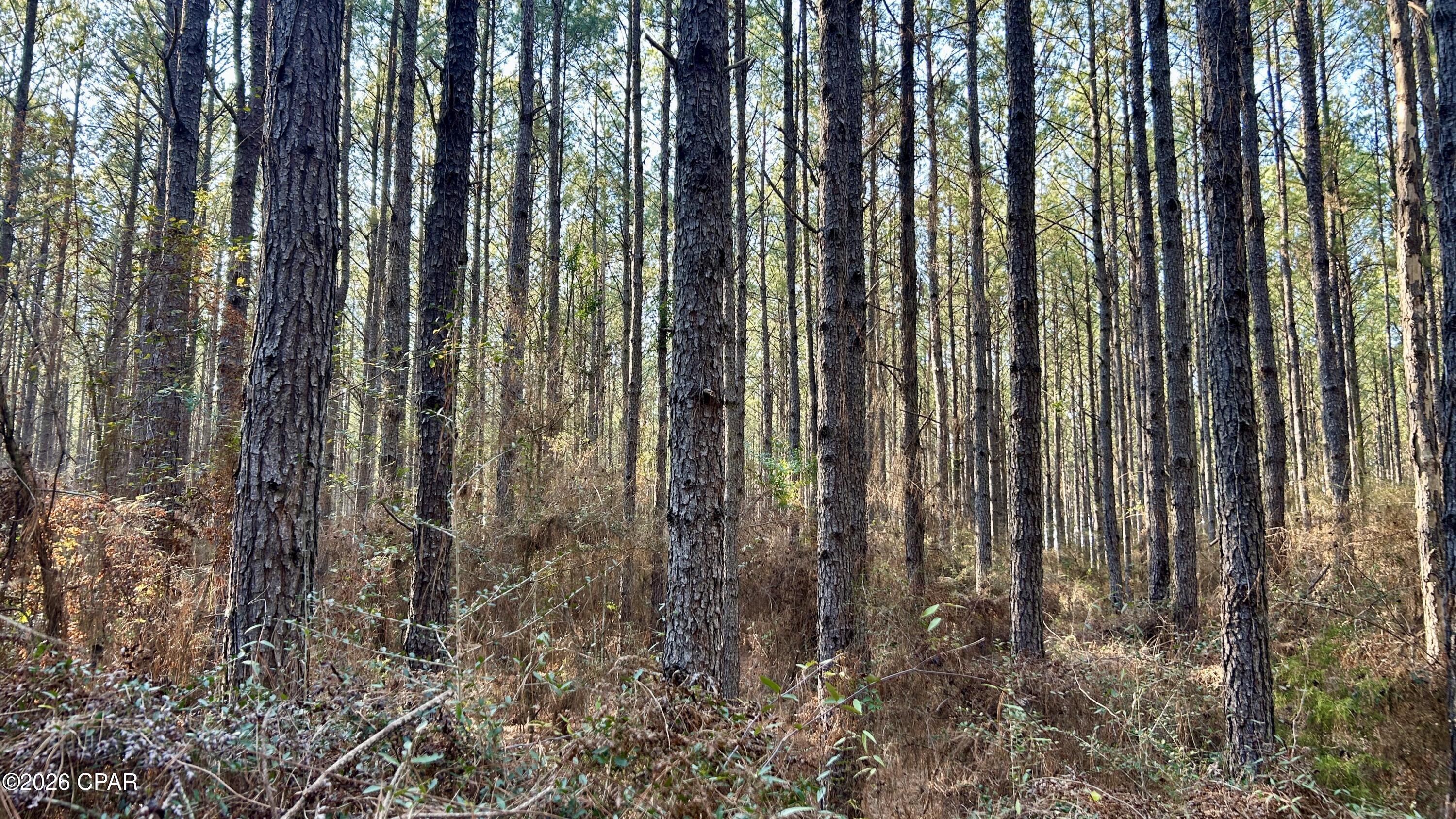 Image 12 For X Grimes Road