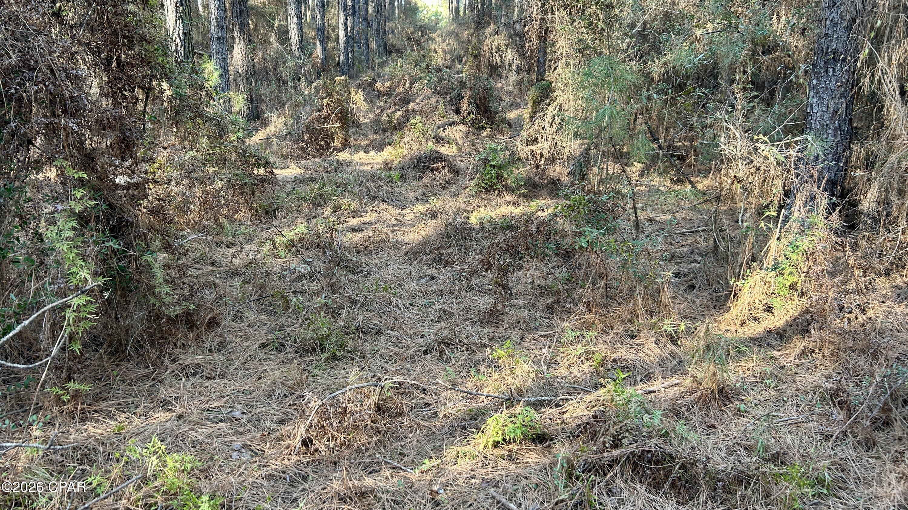 Image 13 For X Grimes Road