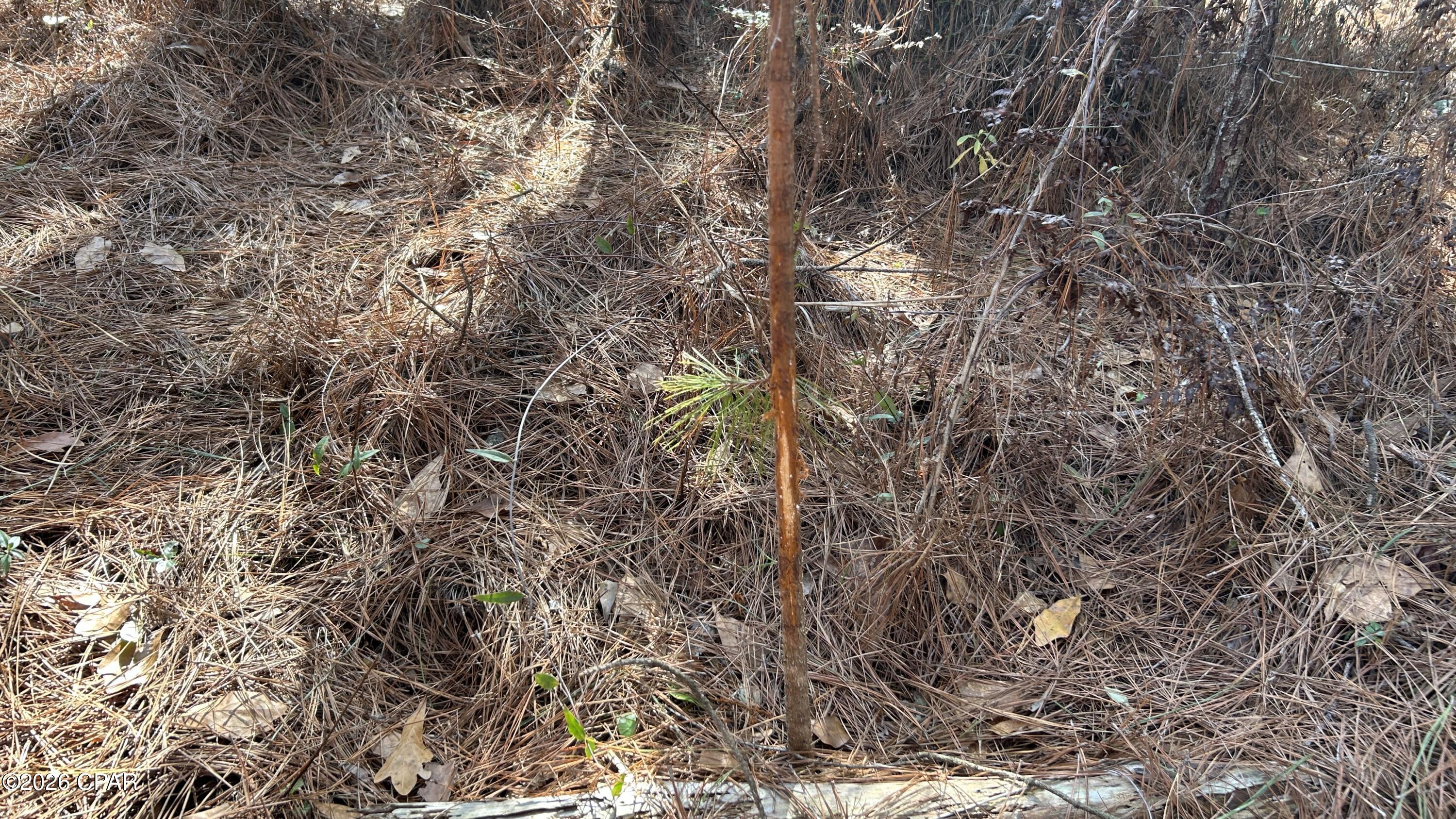 Image 14 For X Grimes Road