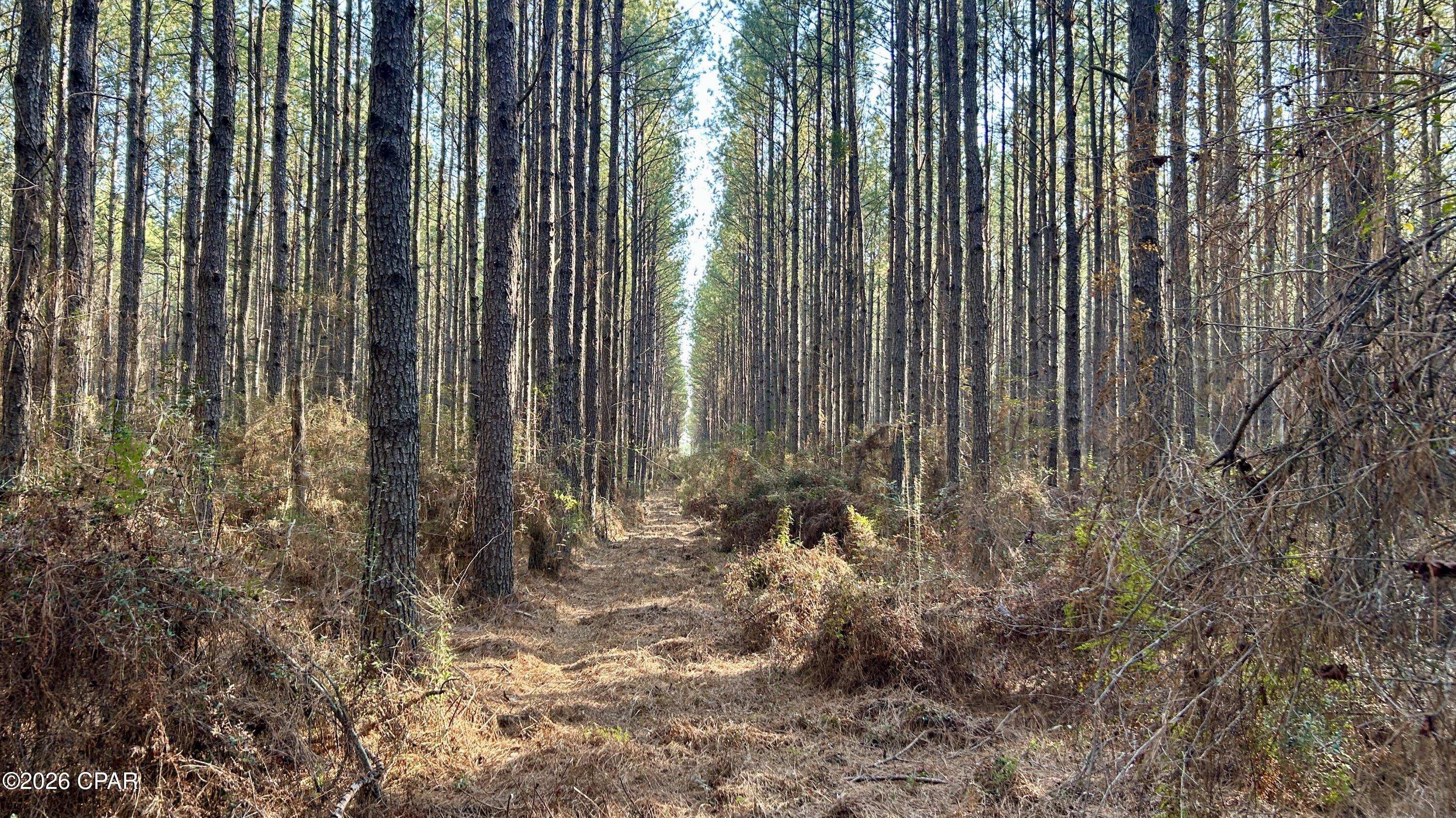 Image 15 For X Grimes Road