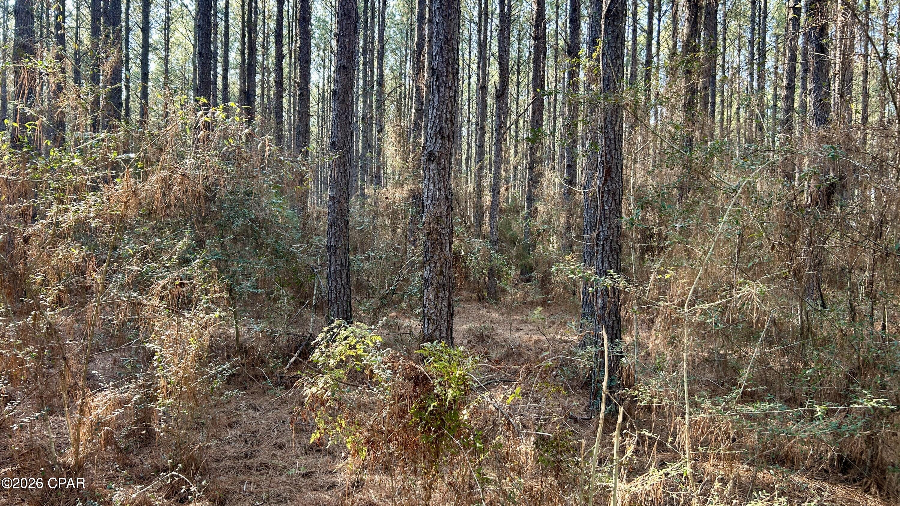 Image 16 For X Grimes Road