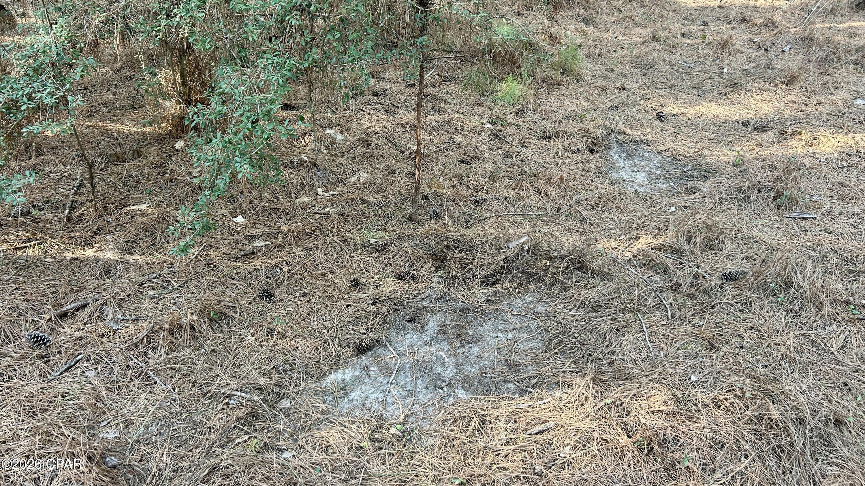 Image 17 For X Grimes Road