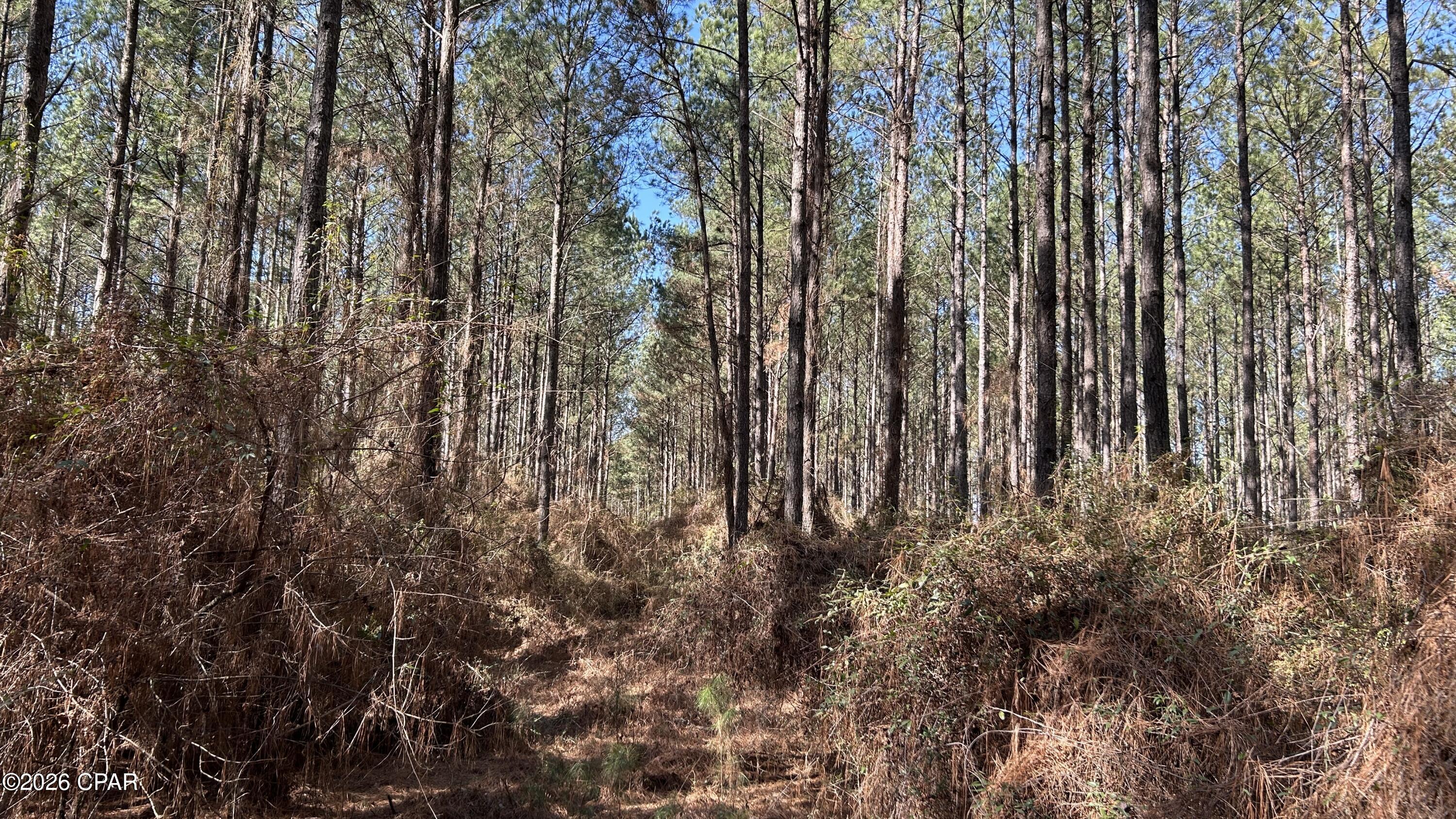 Image 18 For X Grimes Road