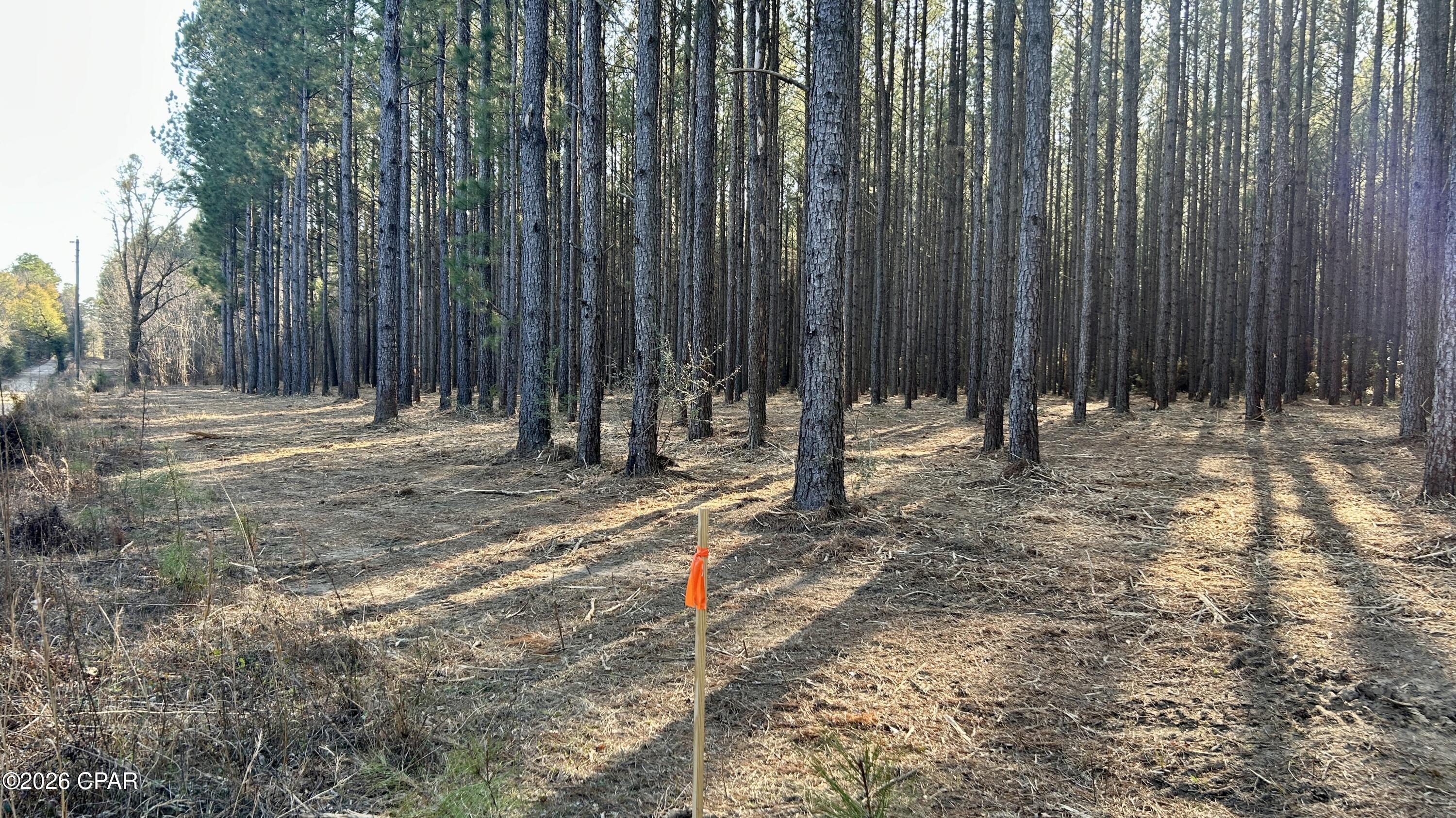 Image 2 For X Grimes Road