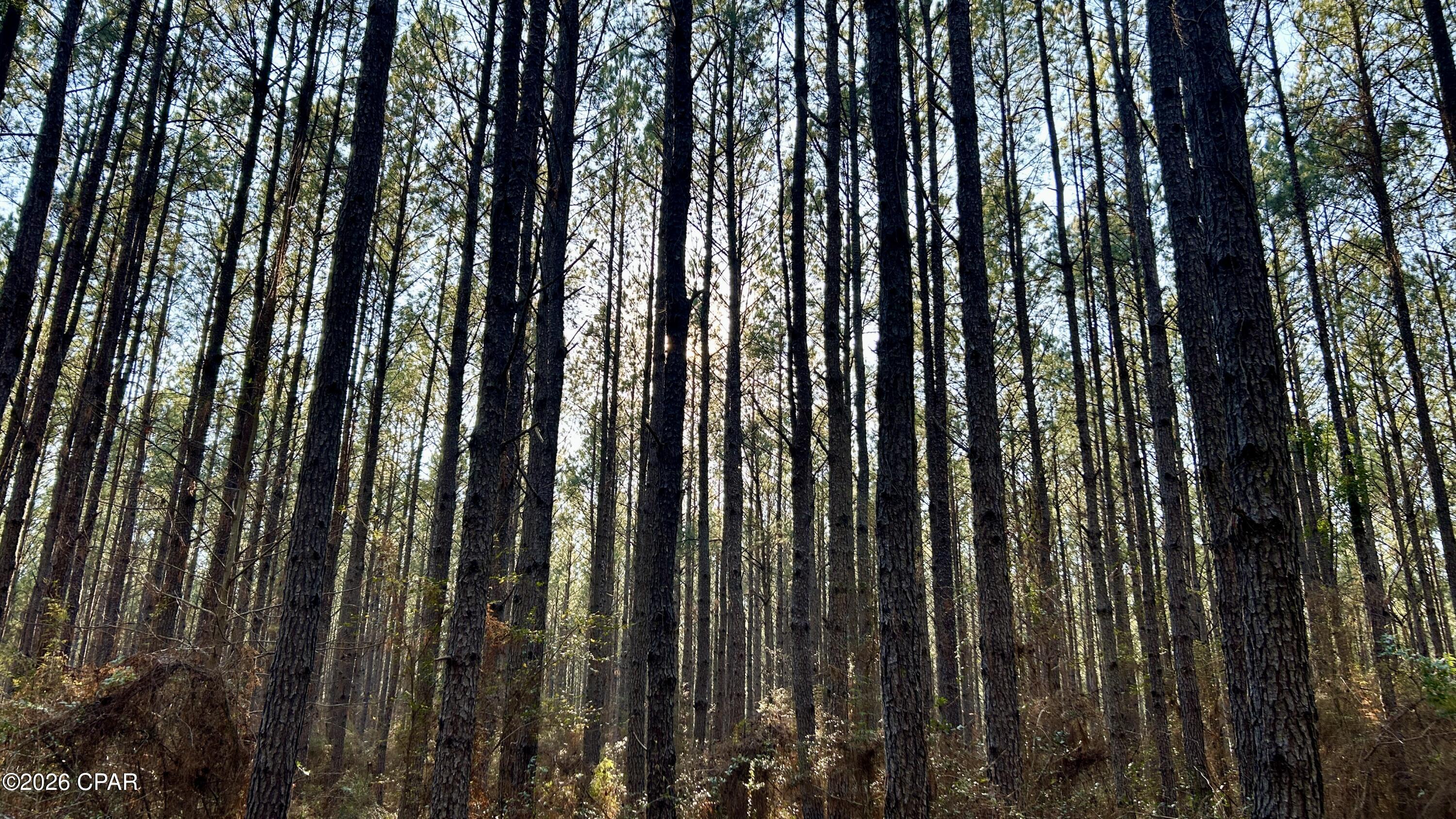 Image 20 For X Grimes Road