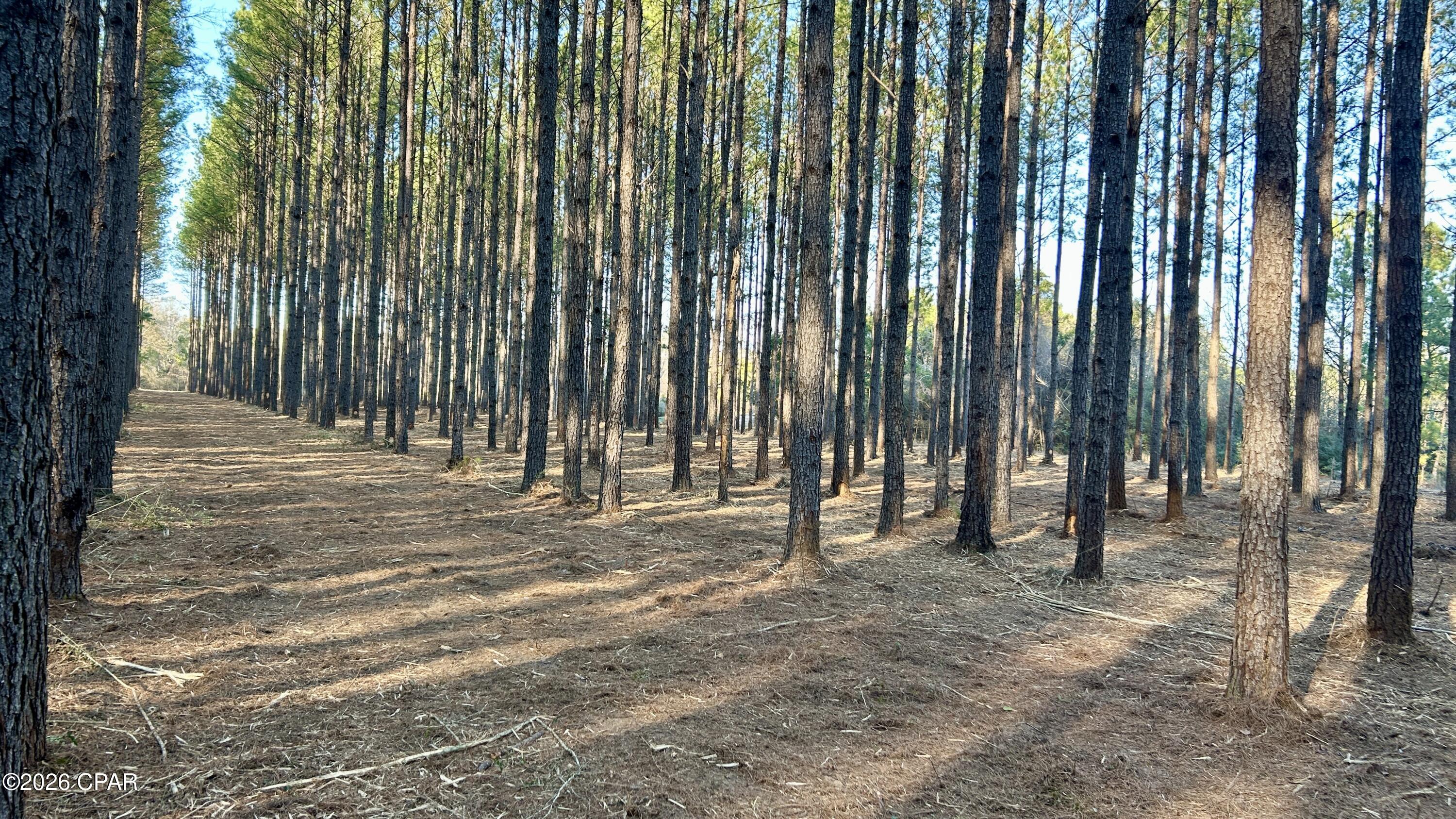 Image 22 For X Grimes Road