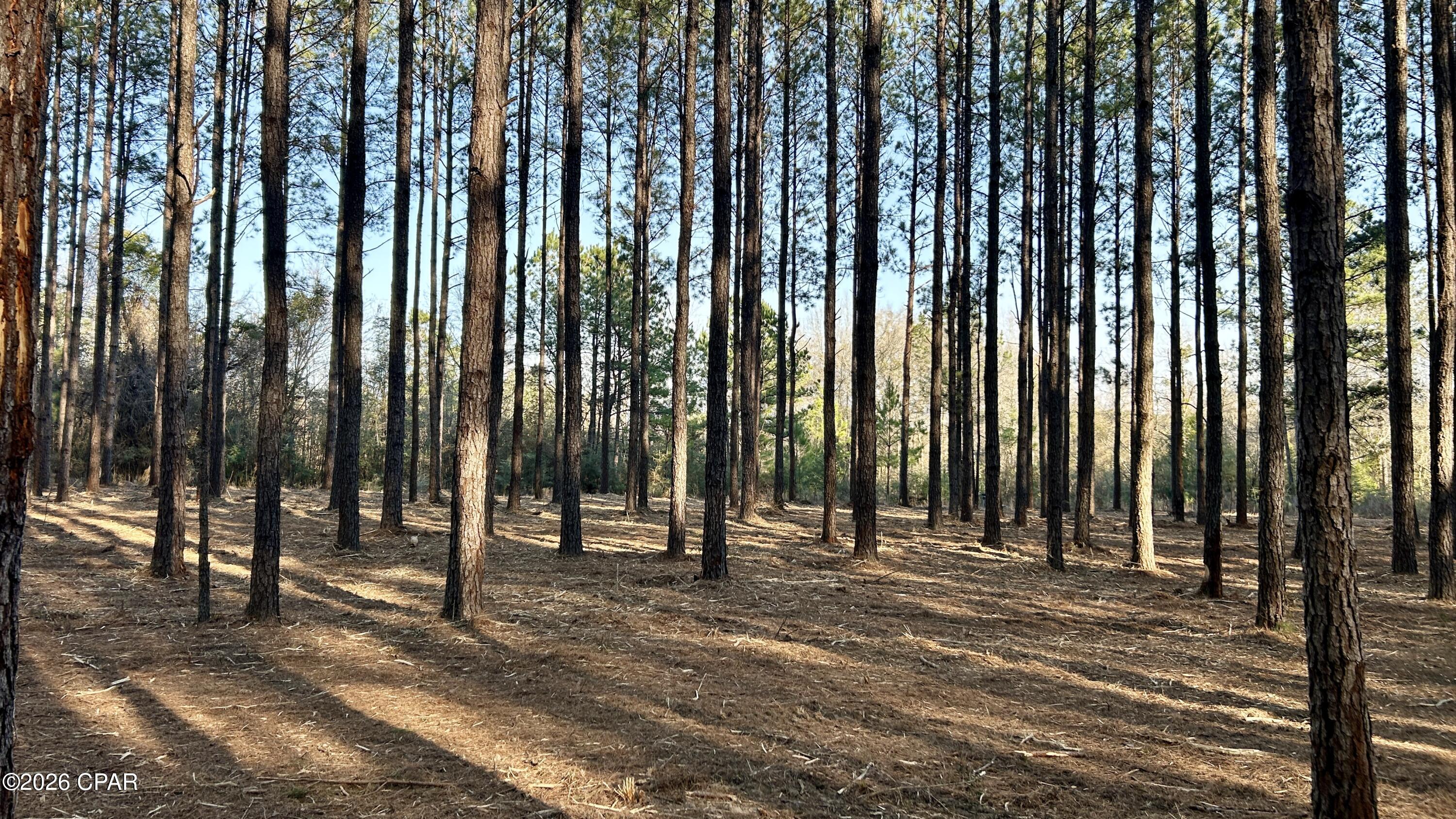 Image 23 For X Grimes Road