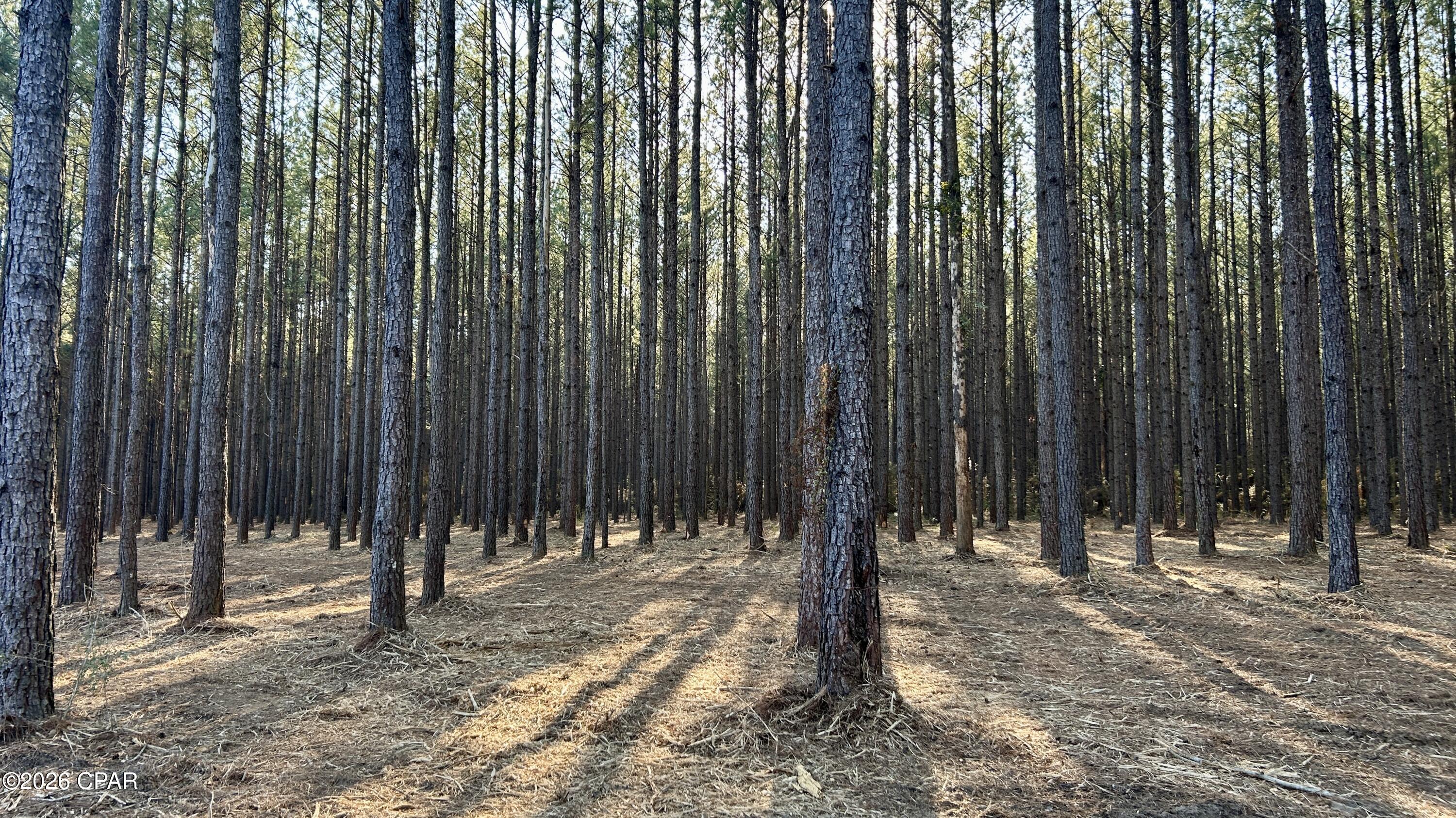 Image 24 For X Grimes Road