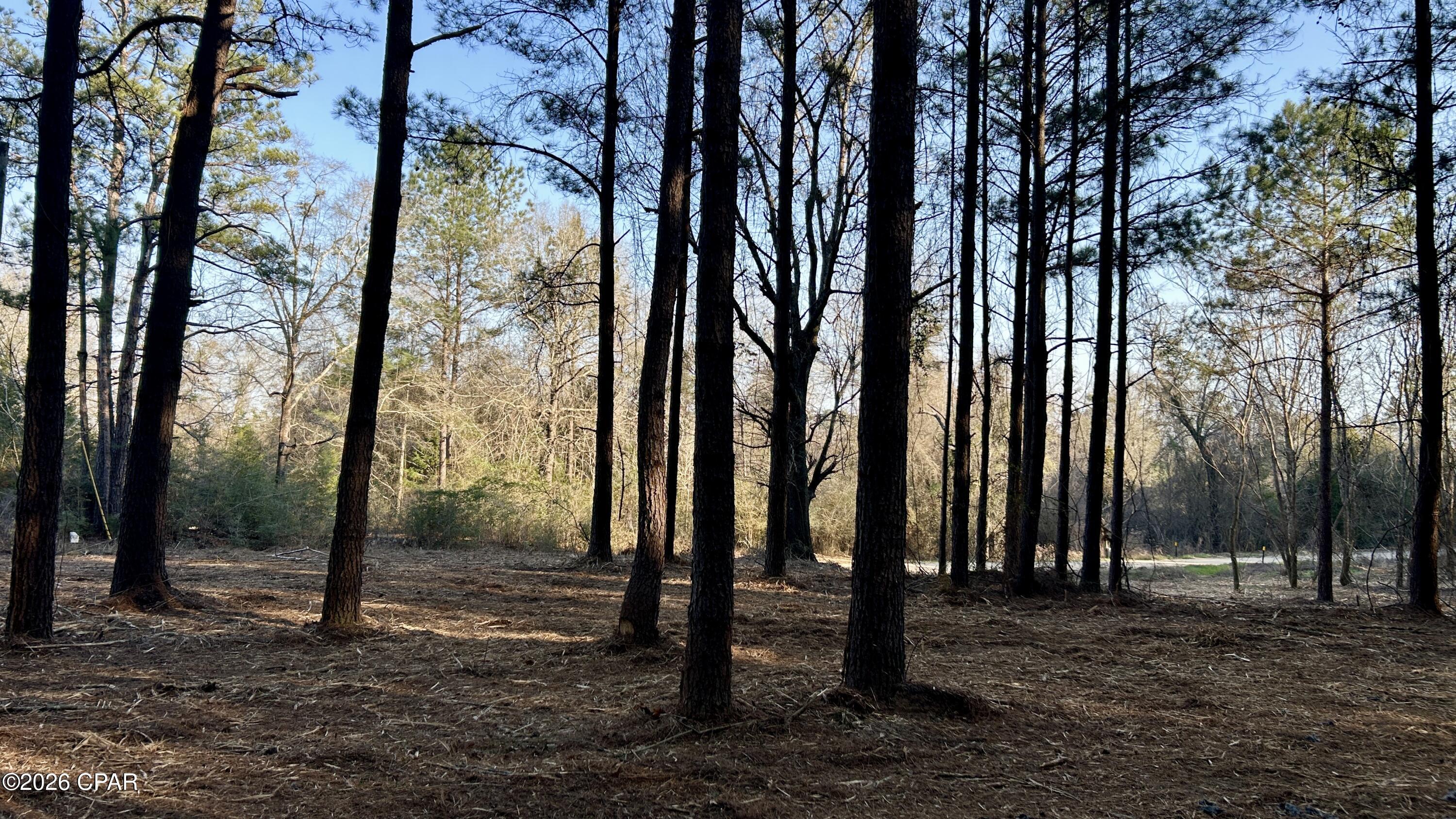 Image 25 For X Grimes Road