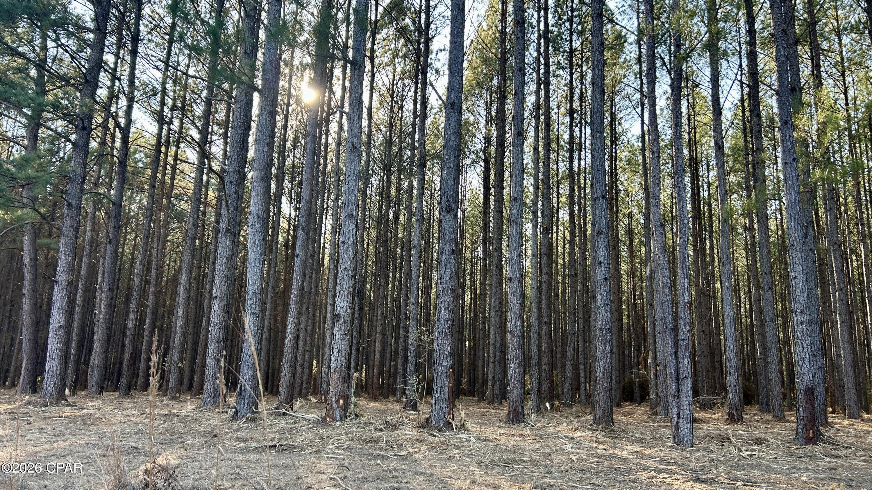 Image 27 For X Grimes Road