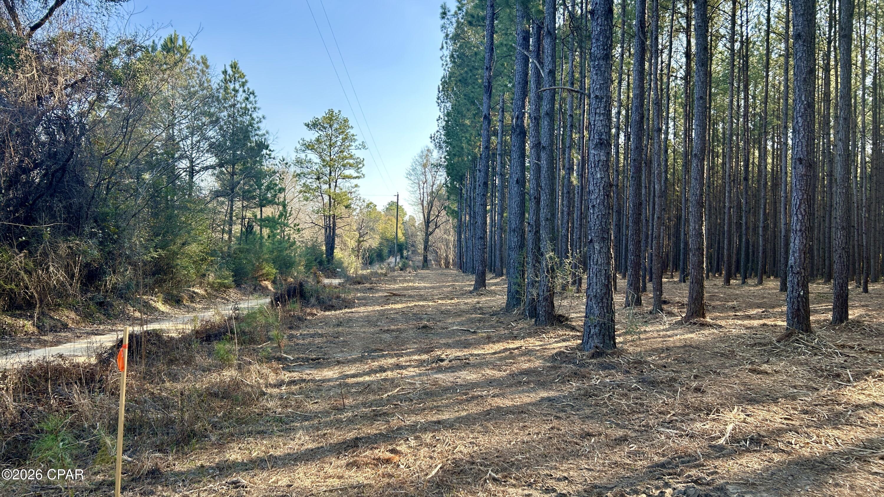 Image 3 For X Grimes Road