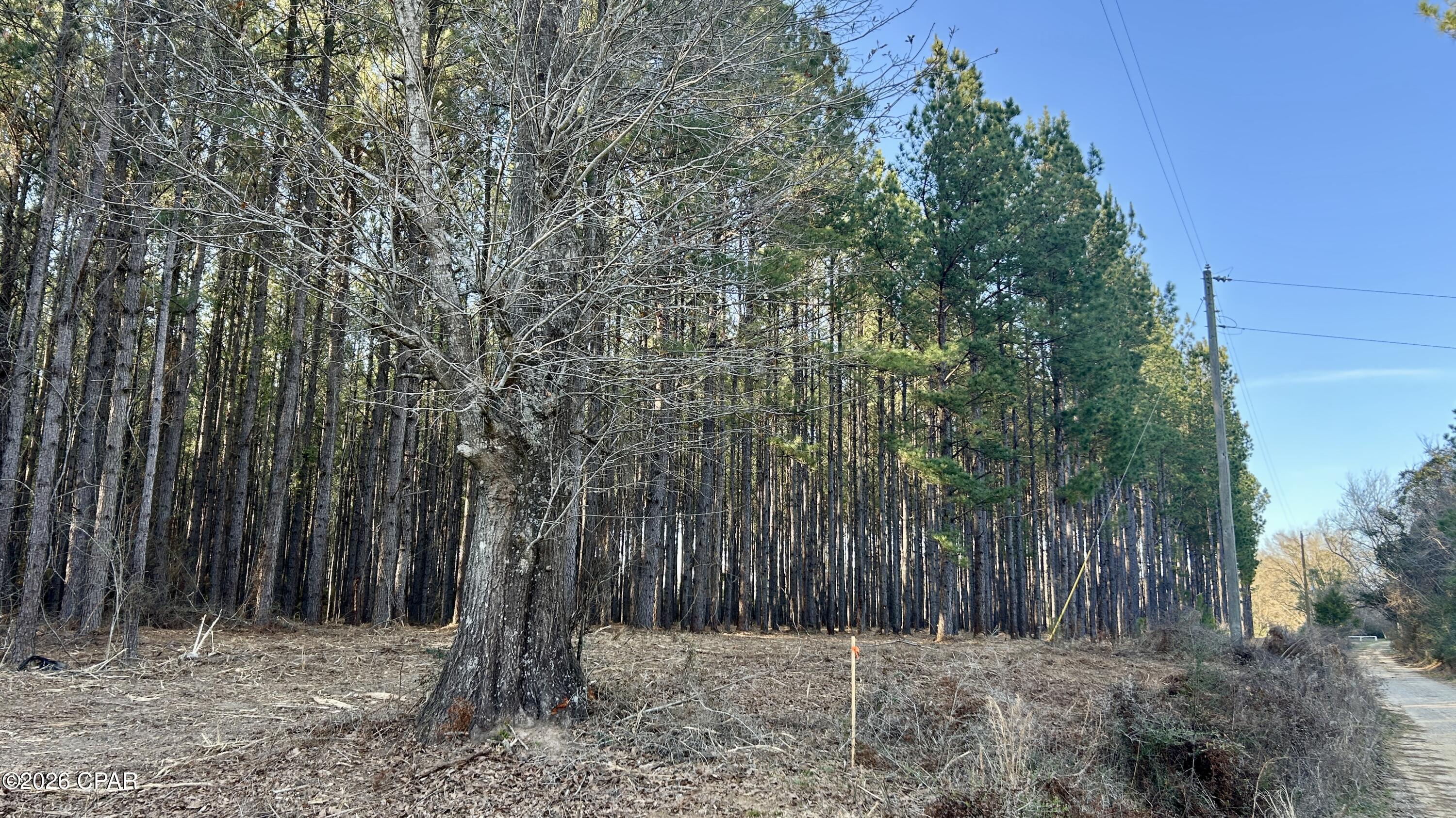 Image 4 For X Grimes Road