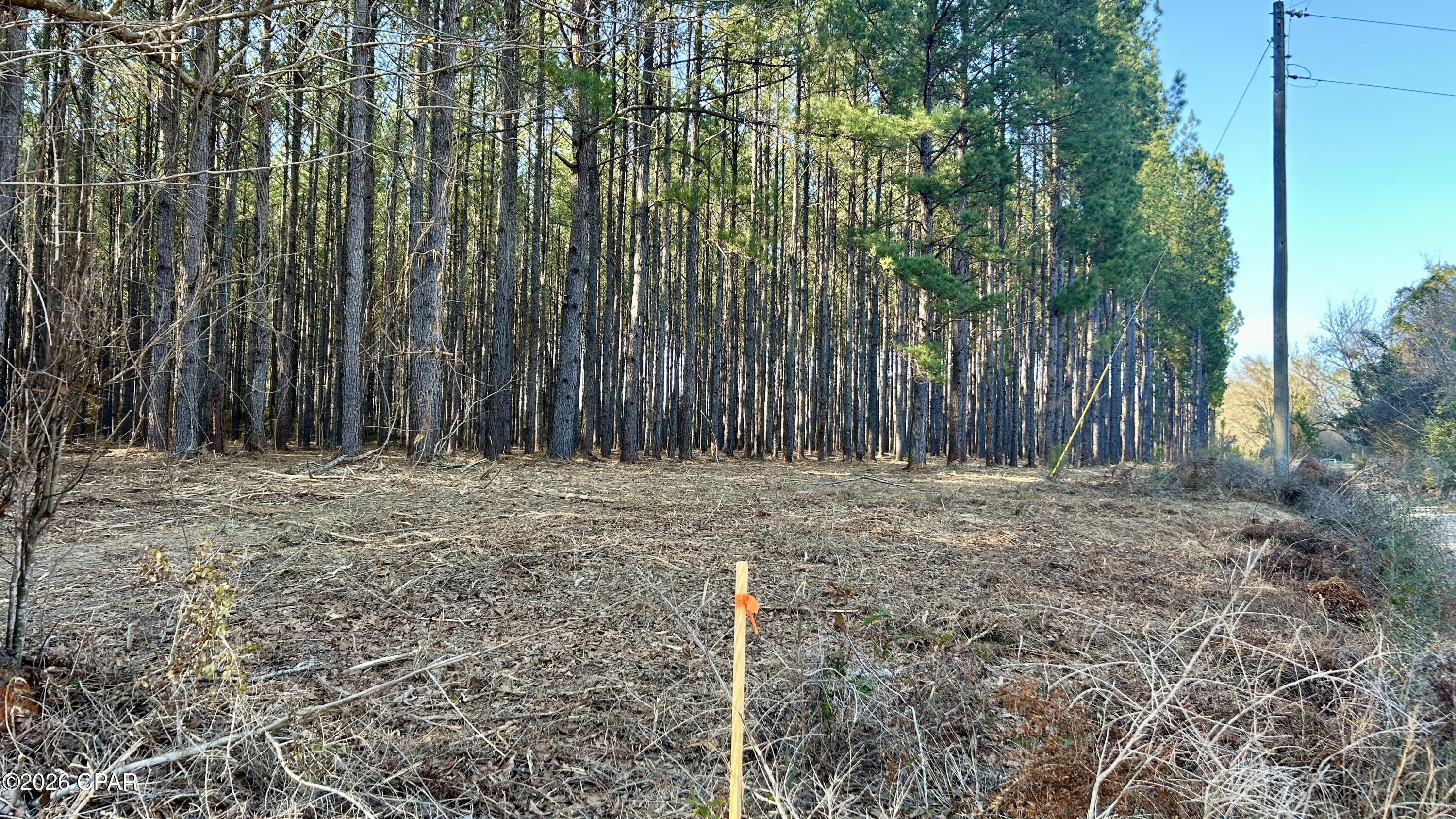 Image 5 For X Grimes Road