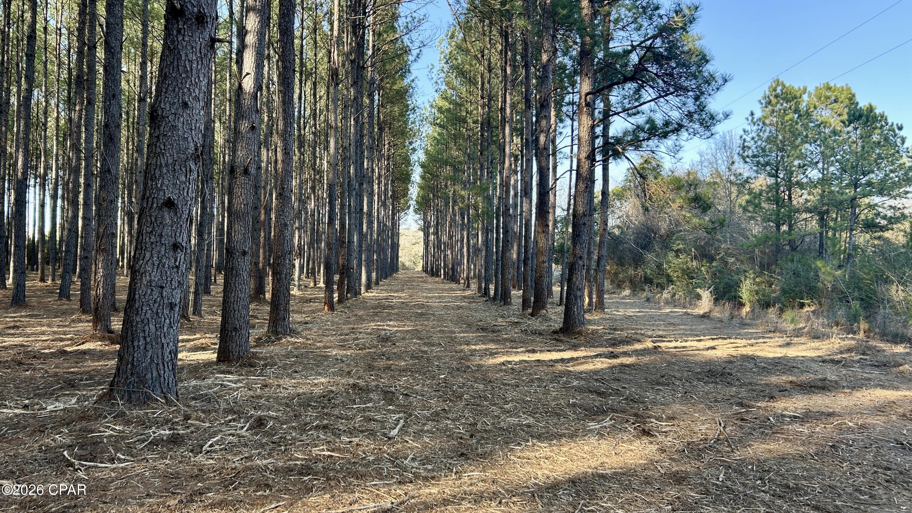 Image 6 For X Grimes Road