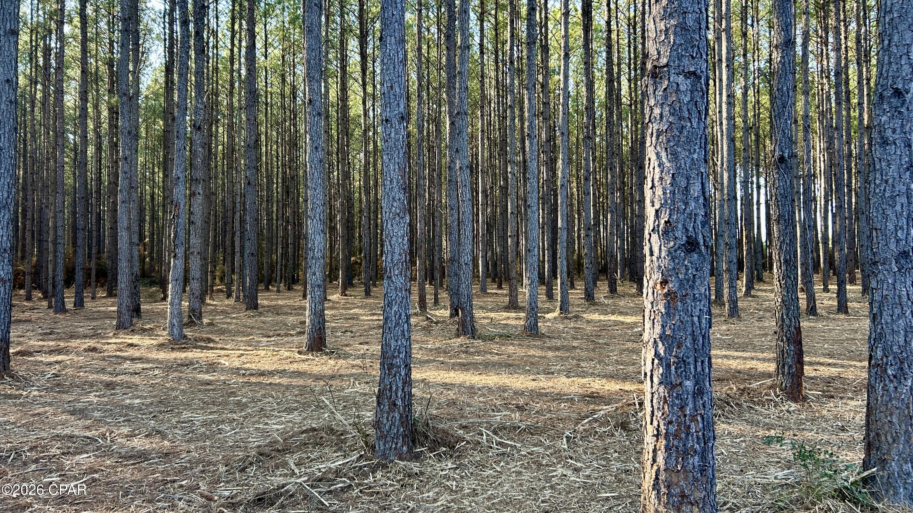 Image 7 For X Grimes Road