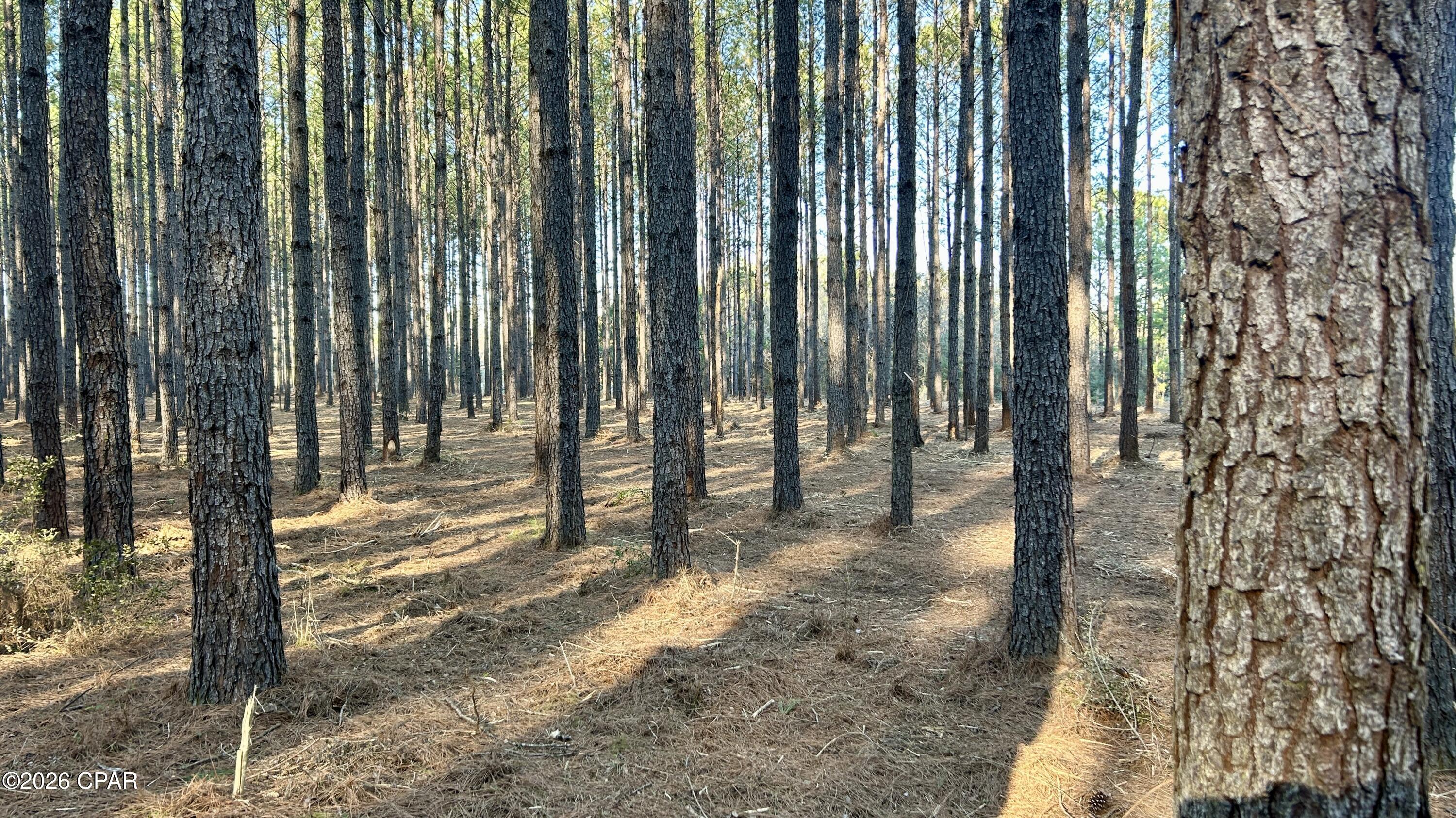 Image 8 For X Grimes Road