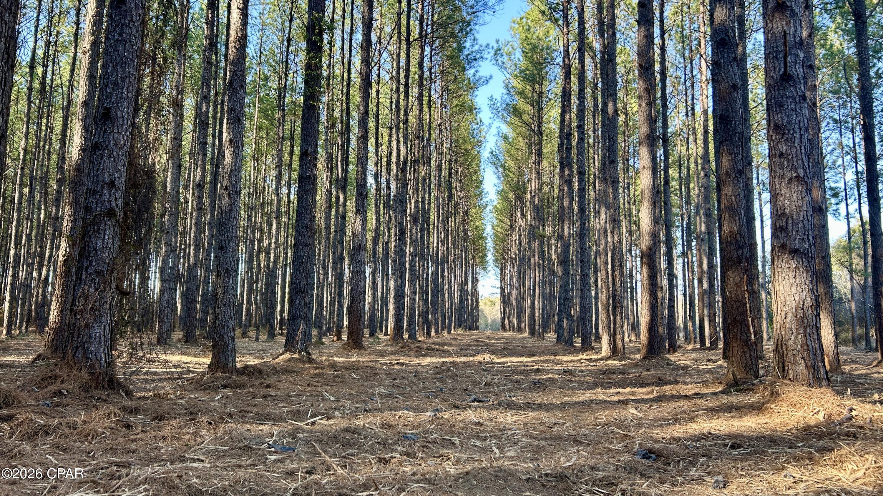 Image 9 For X Grimes Road