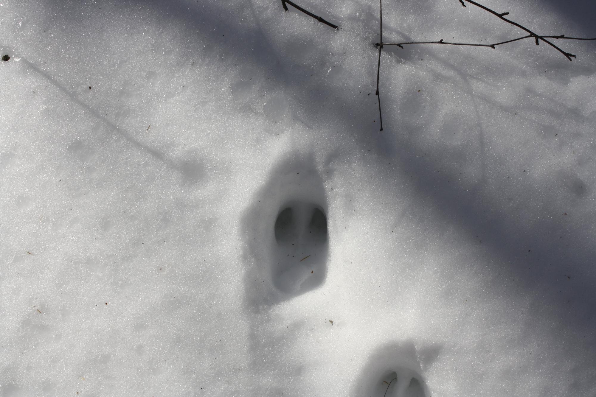 River Property Property ON West Rapids Rd Photo 10