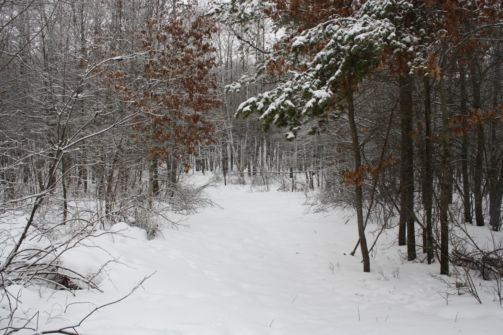 River Property Property ON West Rapids Rd Photo 15