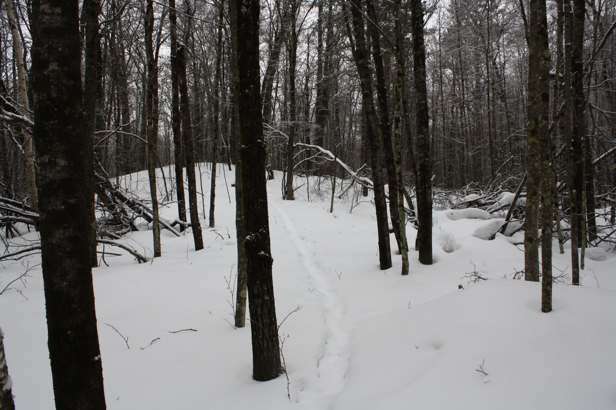 River Property Property ON West Rapids Rd Photo 20