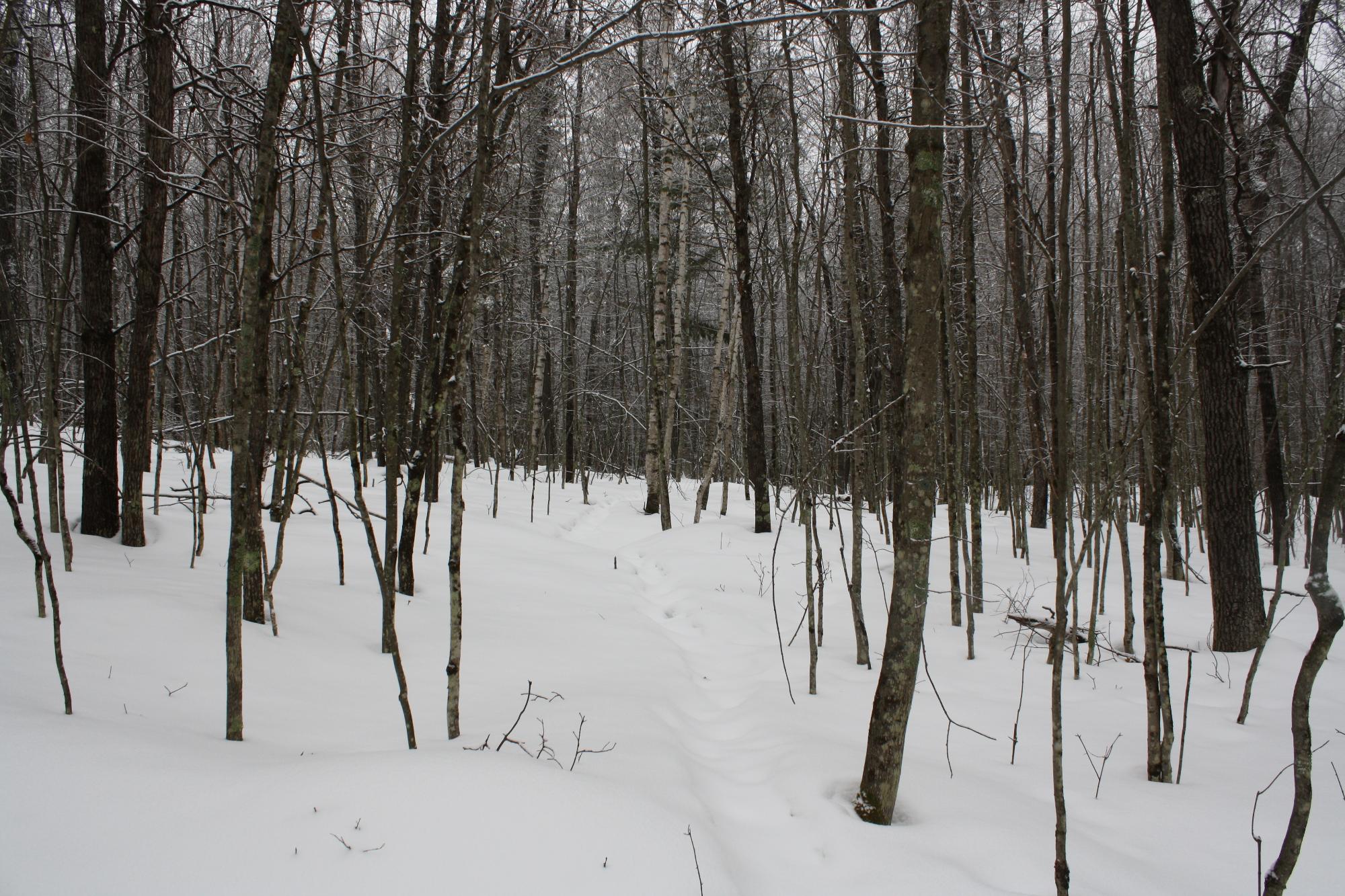 River Property Property ON West Rapids Rd Photo 21