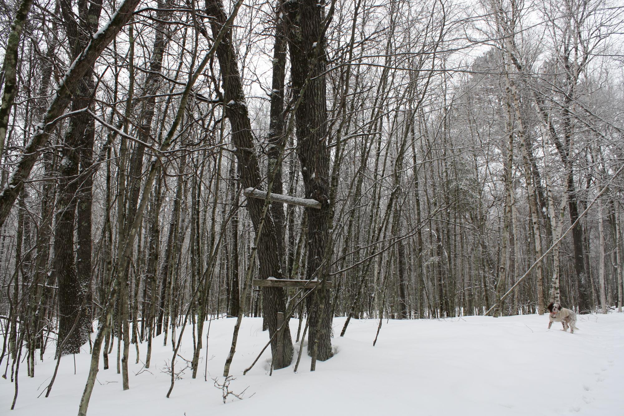 River Property Property ON West Rapids Rd Photo 22