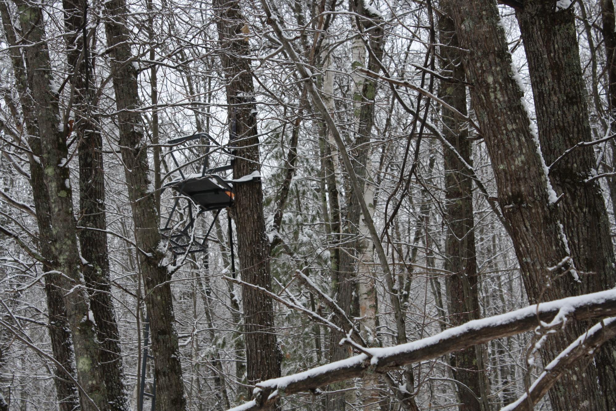 River Property Property ON West Rapids Rd Photo 25