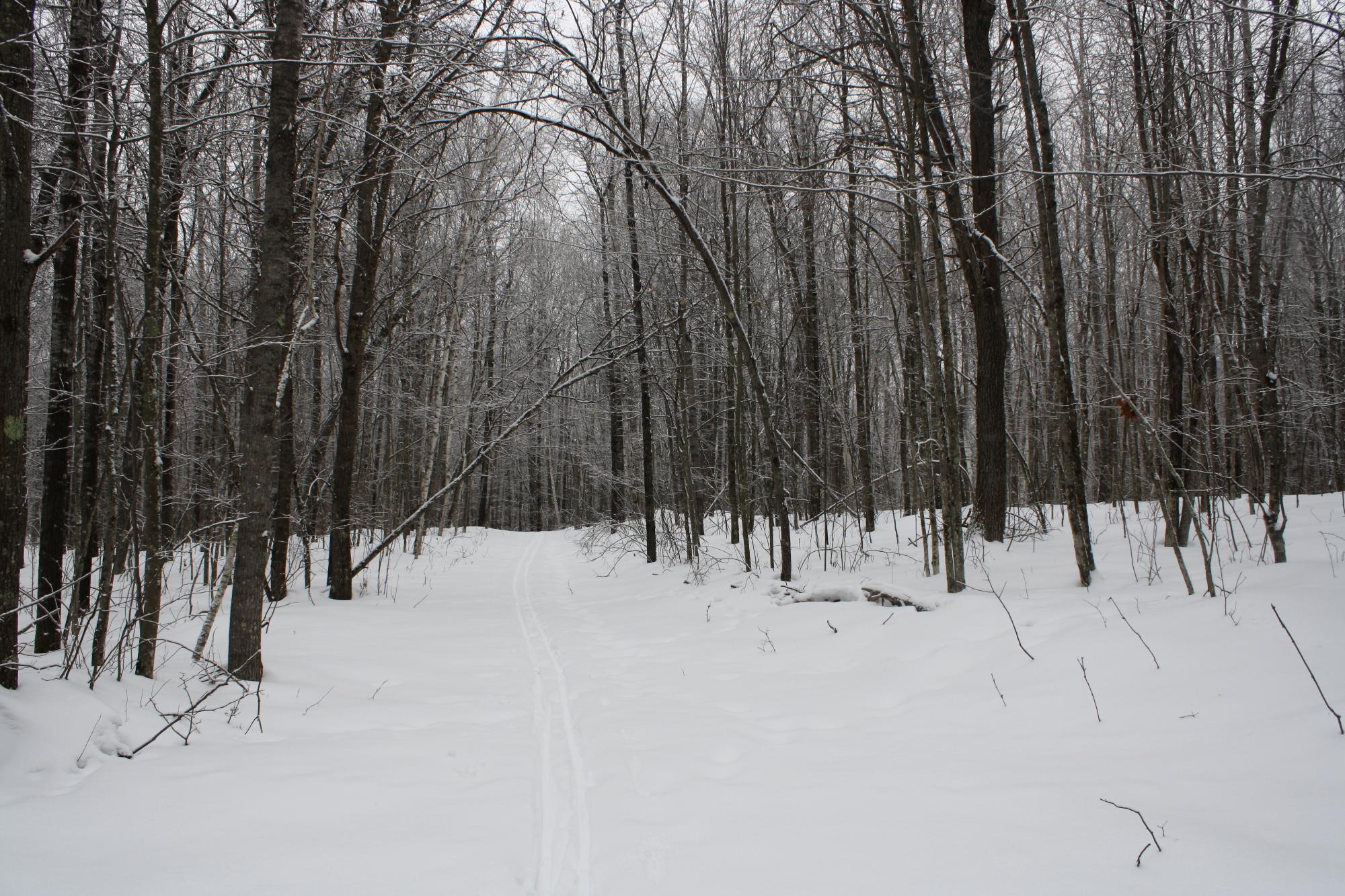 River Property Property ON West Rapids Rd Photo 27