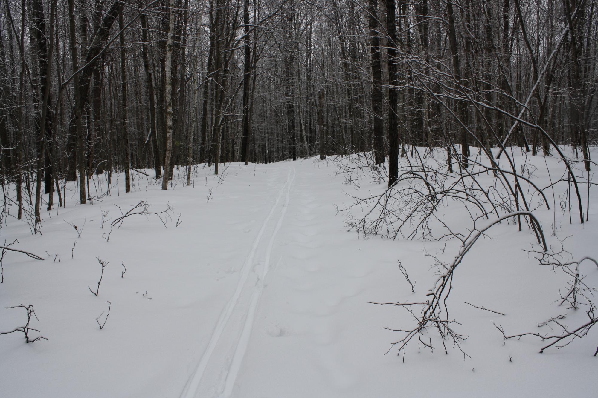 River Property Property ON West Rapids Rd Photo 28