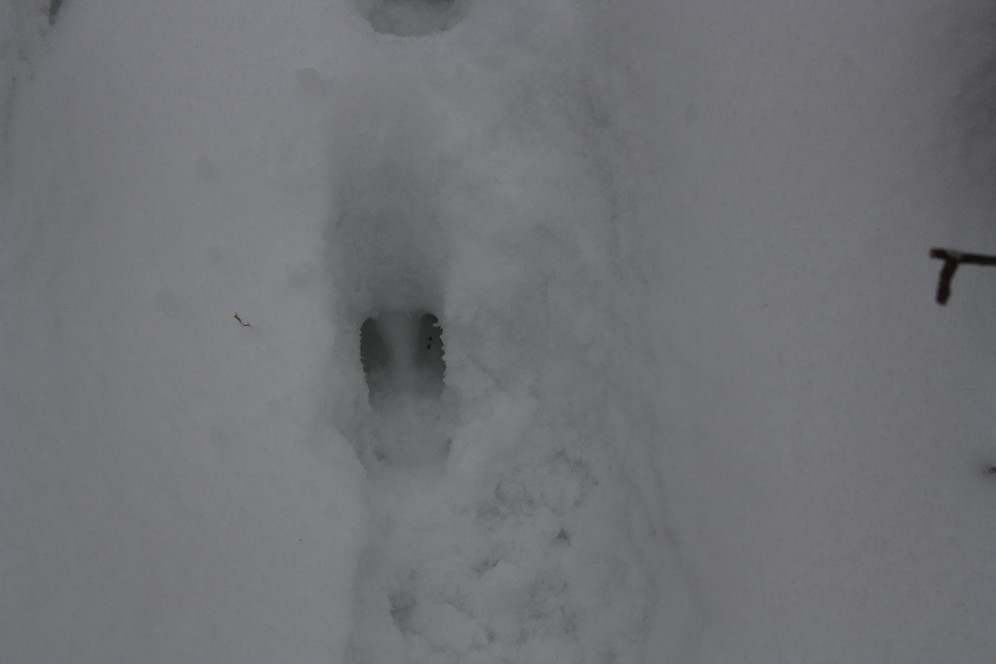 River Property Property ON West Rapids Rd Photo 30