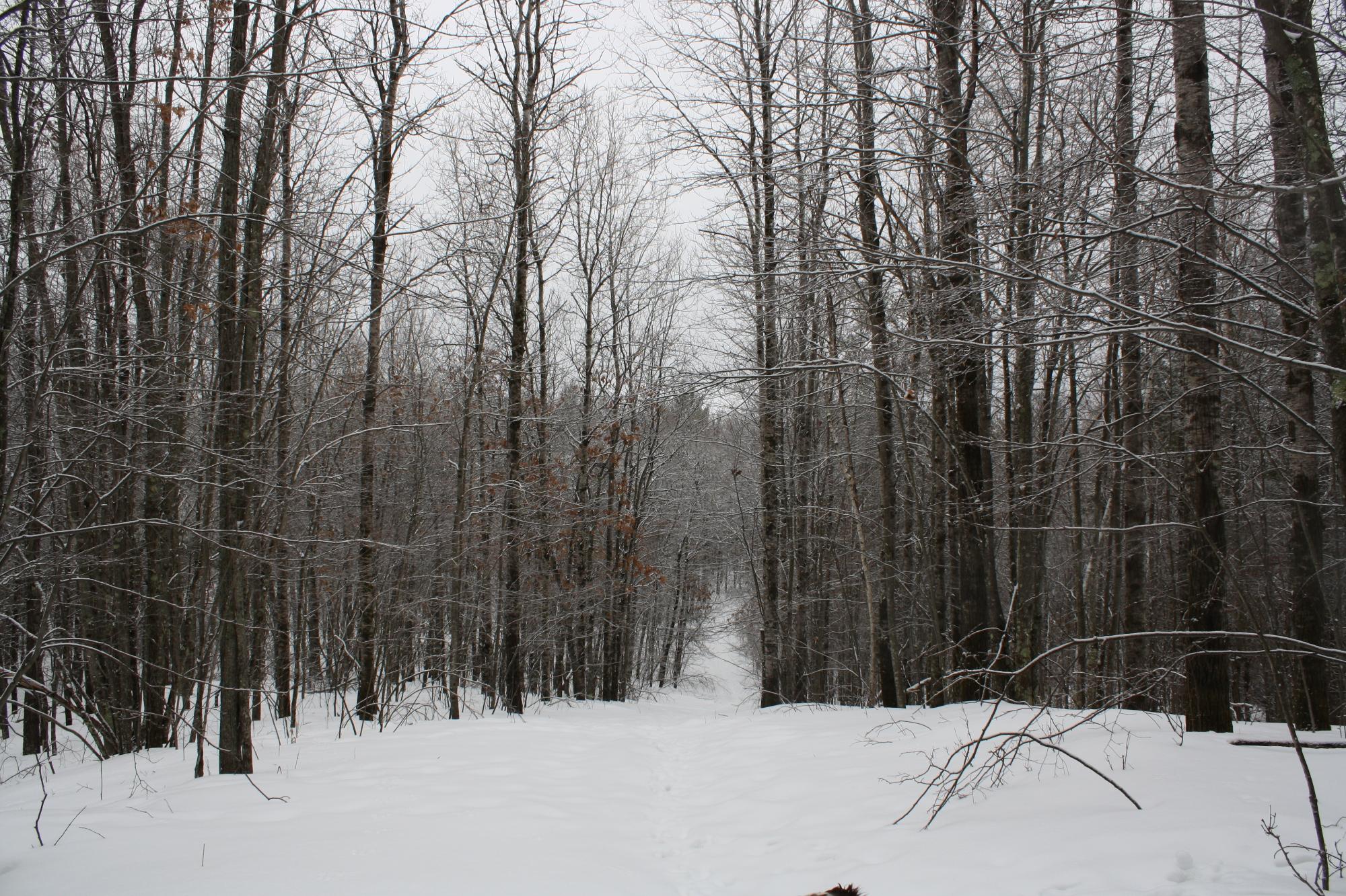 River Property Property ON West Rapids Rd Photo 36