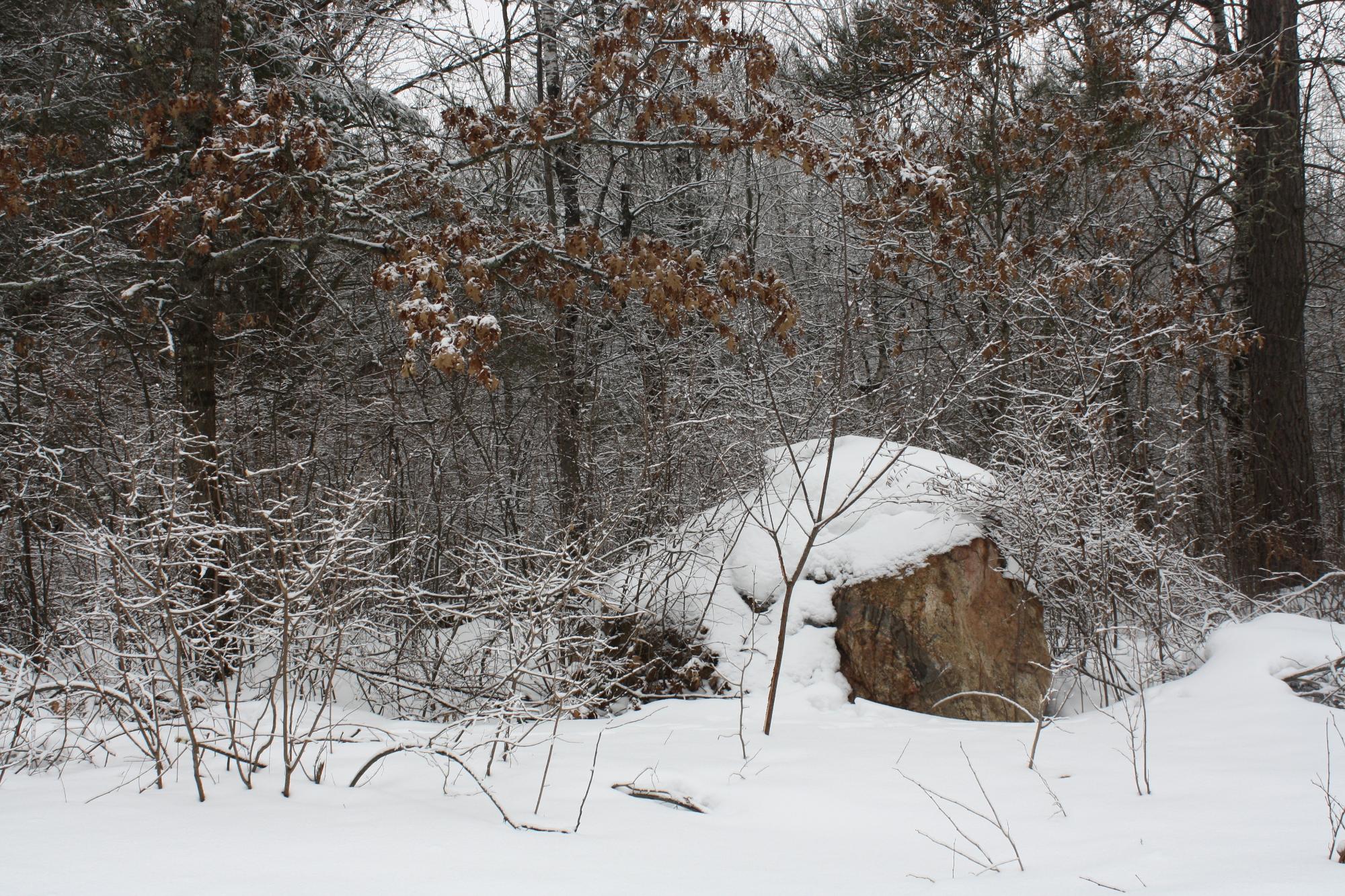 River Property Property ON West Rapids Rd Photo 40