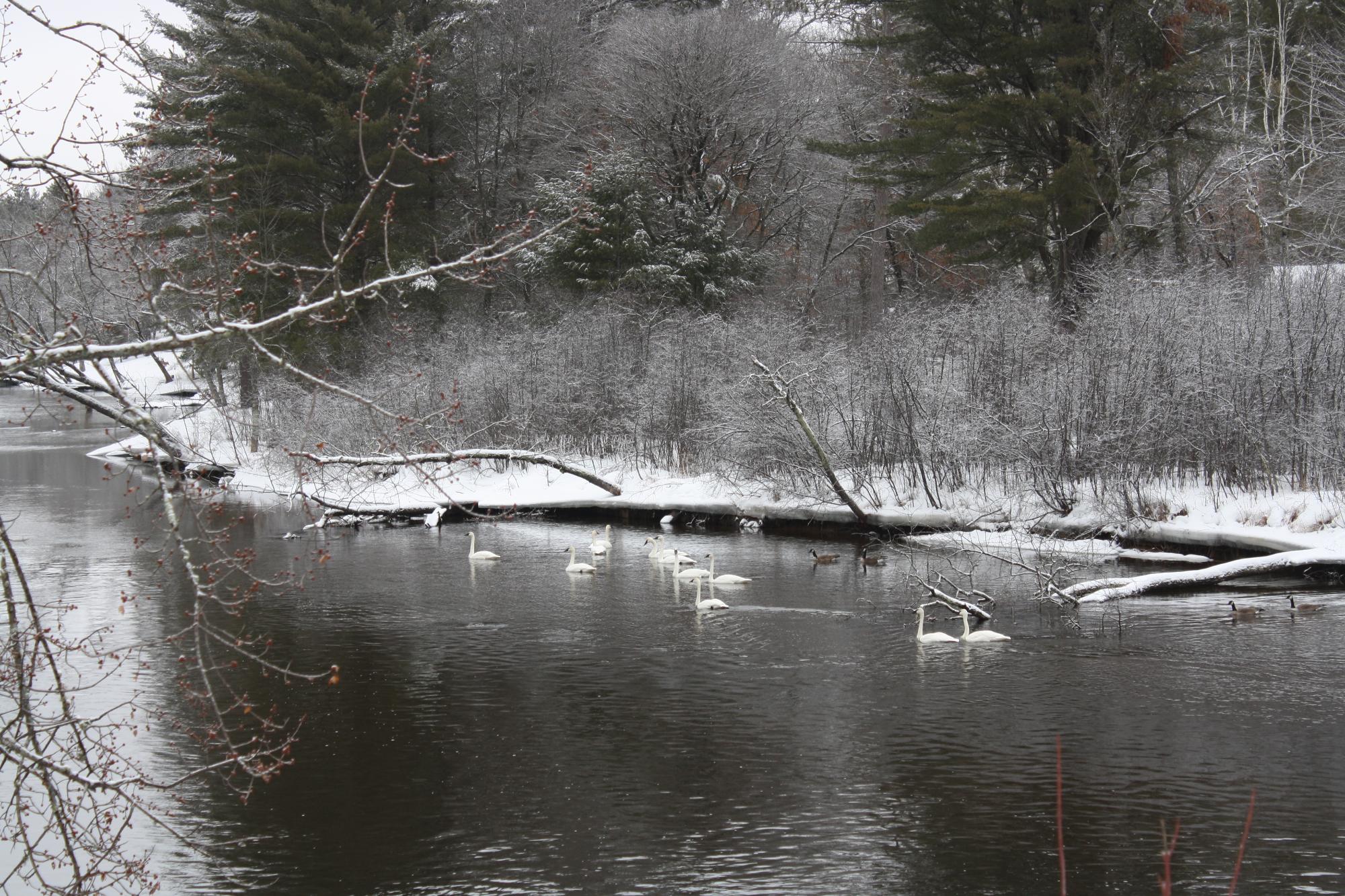 River Property Property ON West Rapids Rd Photo 42