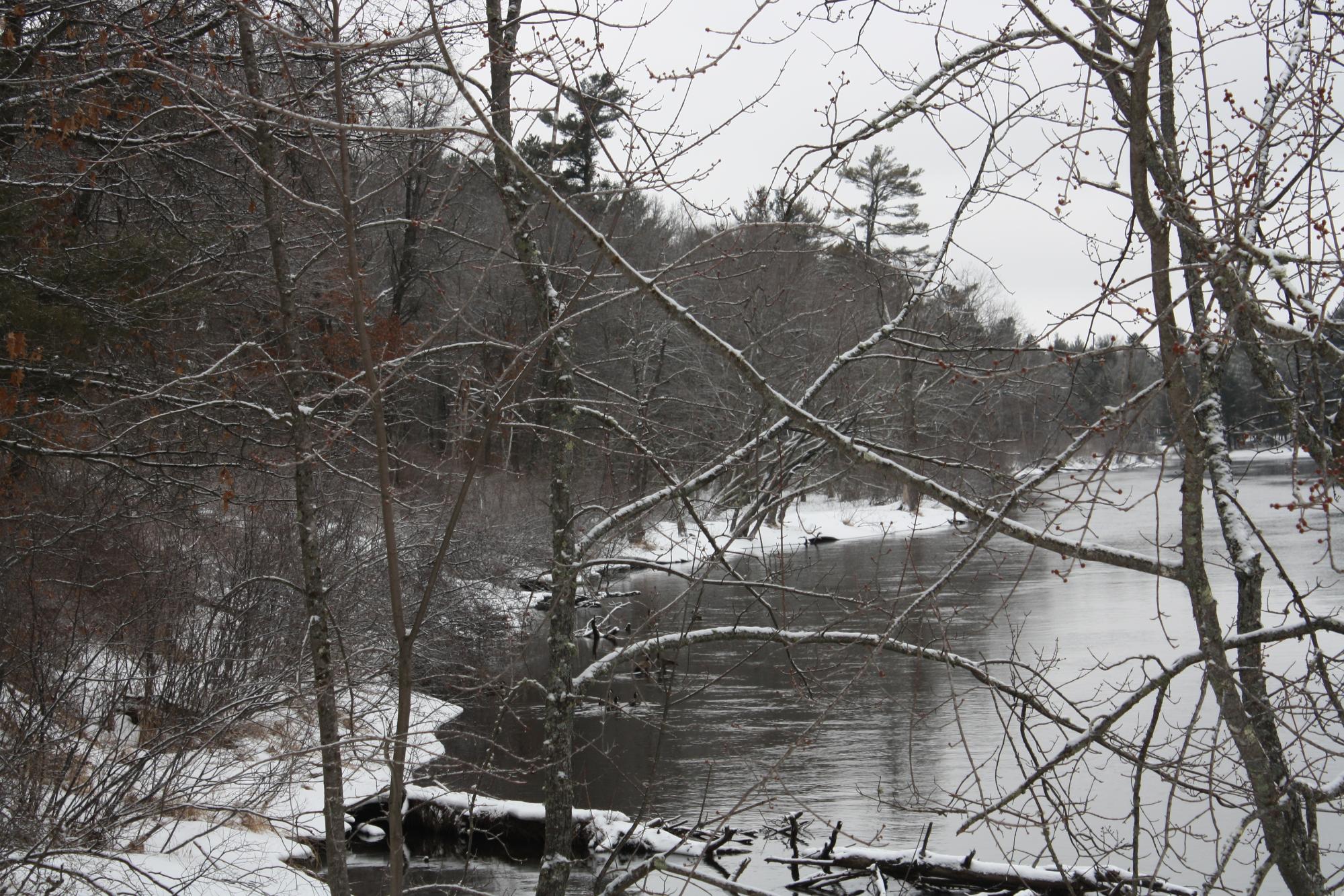 River Property Property ON West Rapids Rd Photo 43