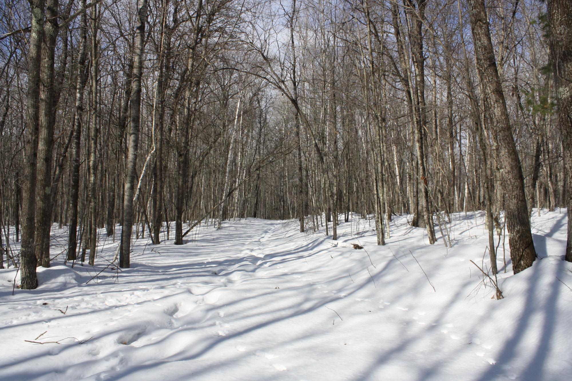 River Property Property ON West Rapids Rd Photo 45