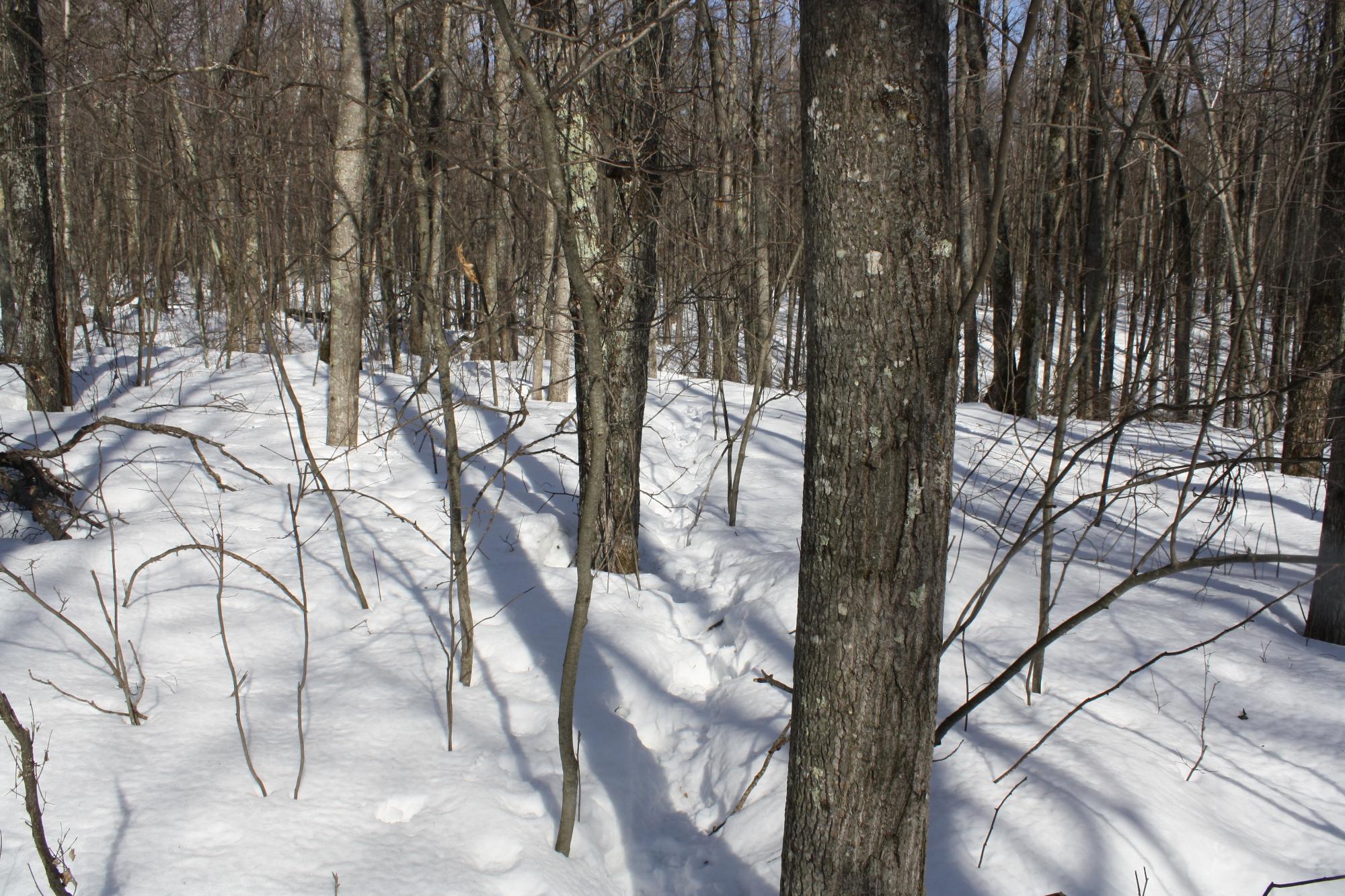 River Property Property ON West Rapids Rd Photo 49