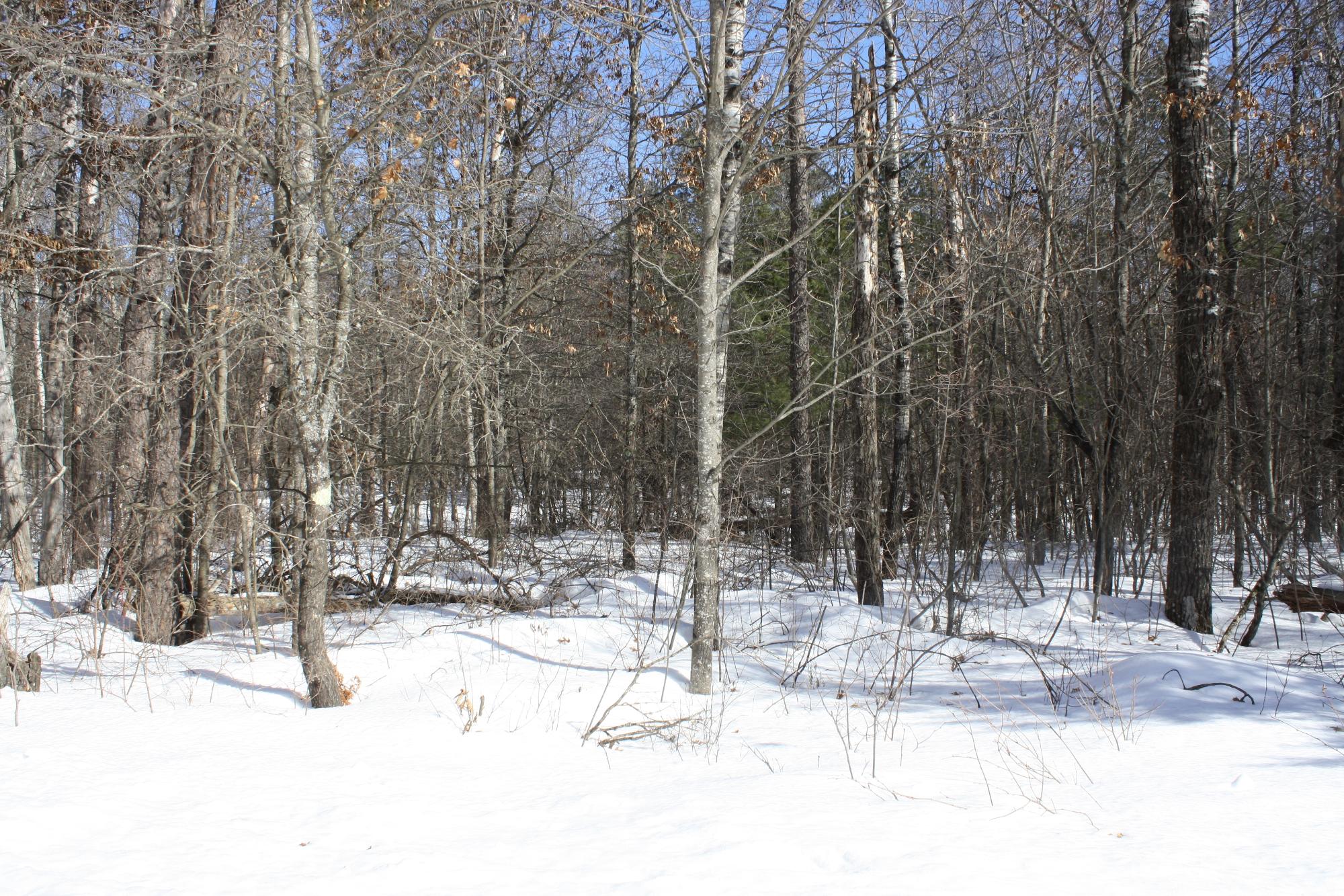 River Property Property ON West Rapids Rd Photo 5