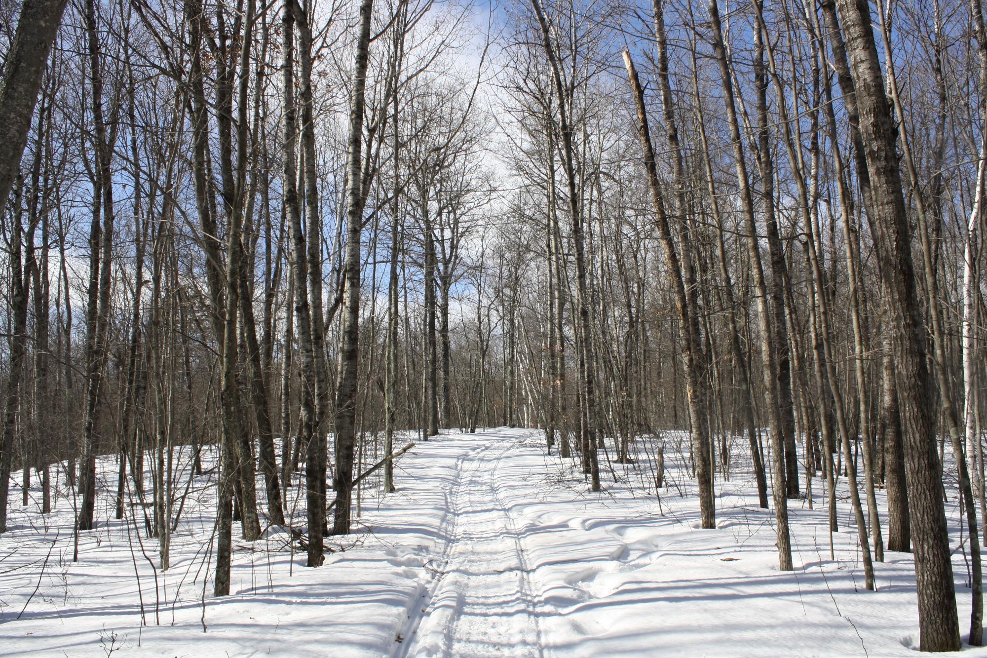 River Property Property ON West Rapids Rd Photo 52