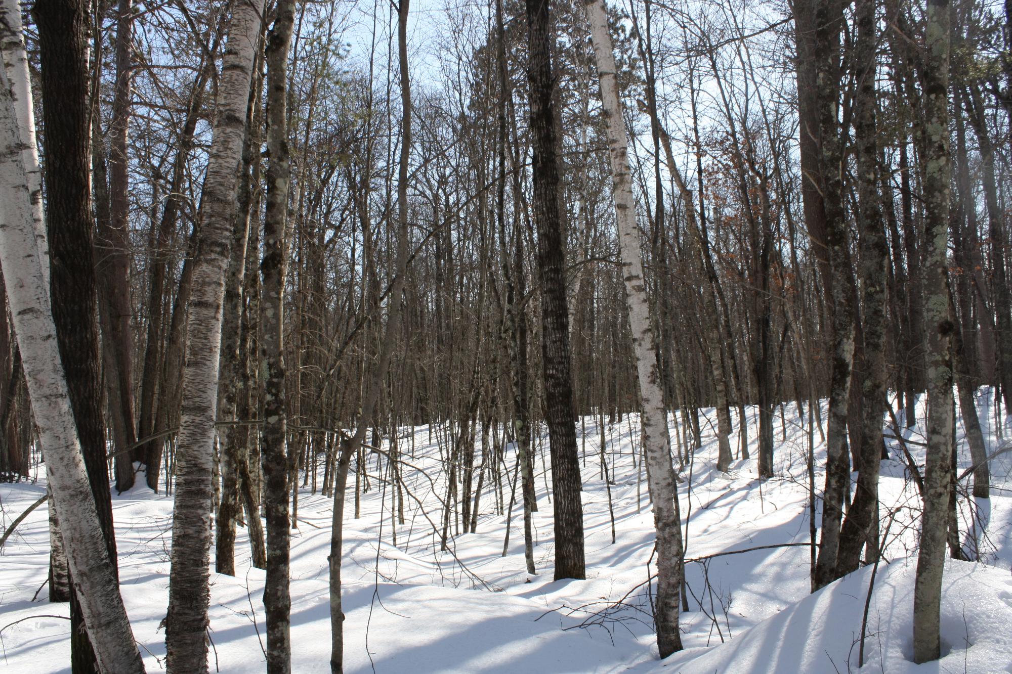 River Property Property ON West Rapids Rd Photo 54