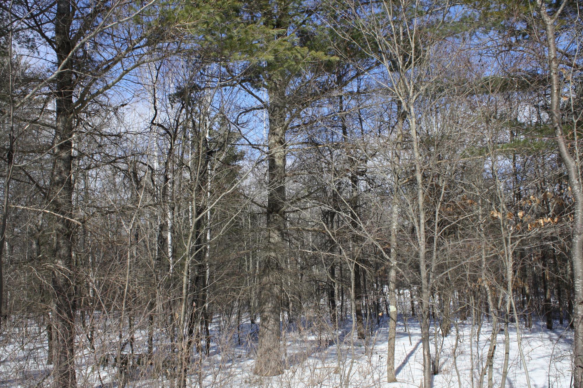 River Property Property ON West Rapids Rd Photo 56