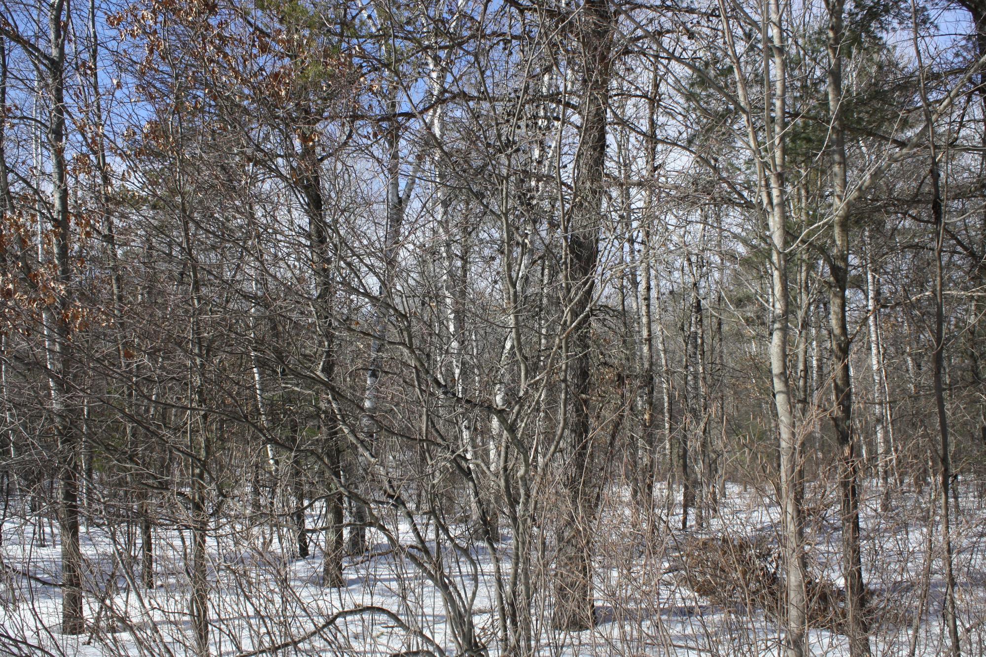 River Property Property ON West Rapids Rd Photo 57