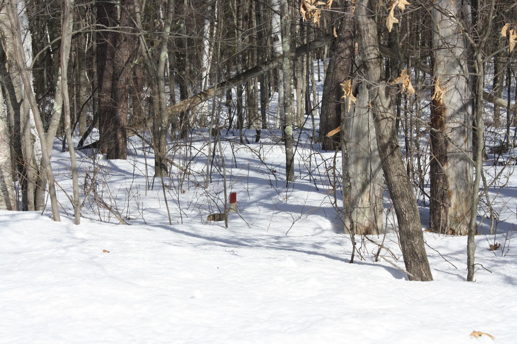 River Property Property ON West Rapids Rd Photo 6
