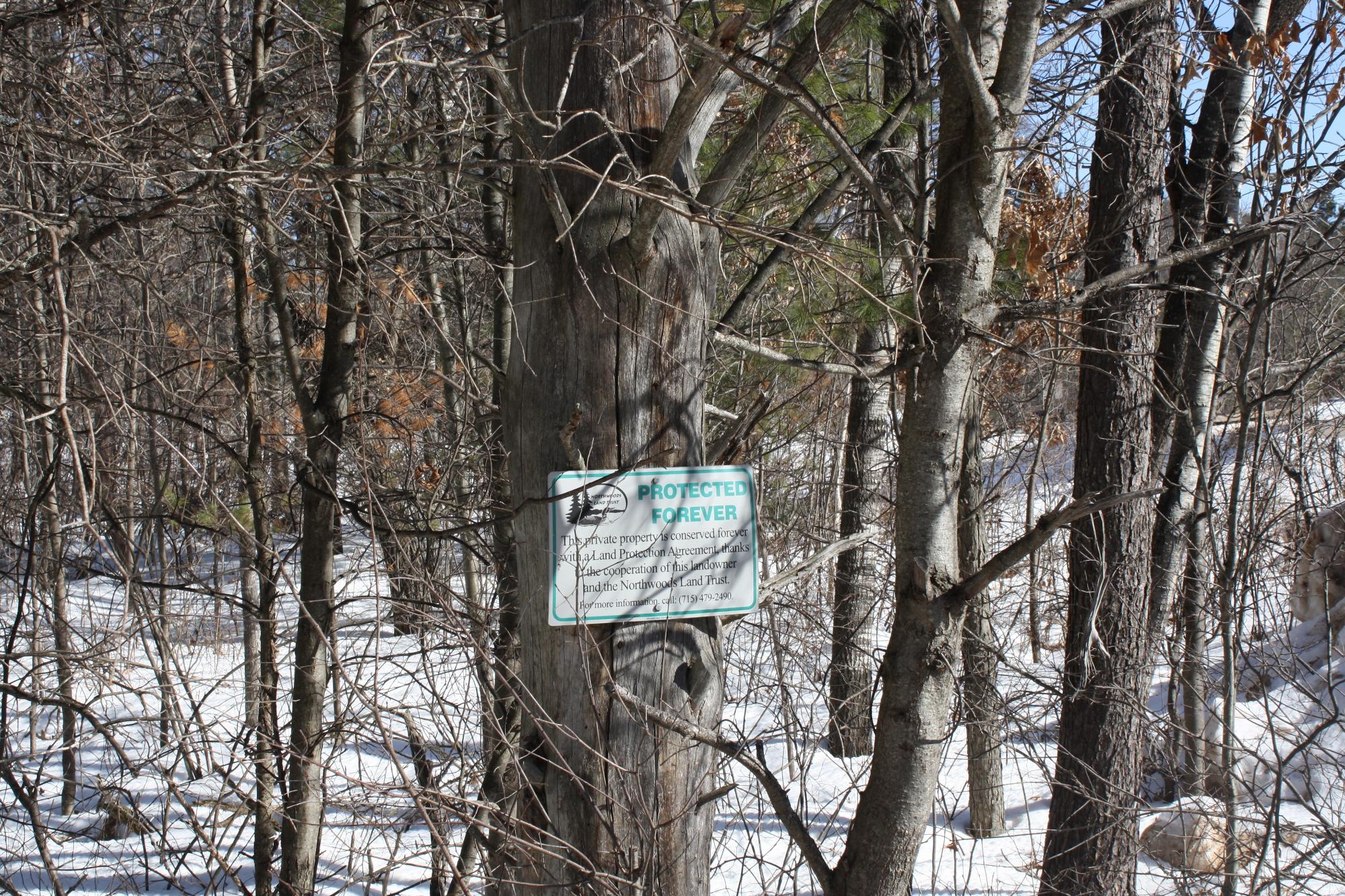 River Property Property ON West Rapids Rd Photo 8
